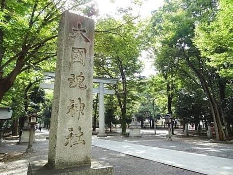 植田麻友美のインスタグラム：「大好きな⛩  大國魂神社⛩  去年から参拝させて頂いて  ガラッと人生が変わるキッカケになった⛩  拝殿の裏にあるイチョウの木が凄くパワーがあって素晴らしい🍀  人型流しは是非やってほしい！  人型流しは 「厄や穢れを人形に移して水に流すことにより取り除くための儀式」⛩  空気が綺麗で  厳かでとてもどっしりした神社さま🍀   #大國魂神社   #すもも祭り   #からすみくじ   #神社巡り」