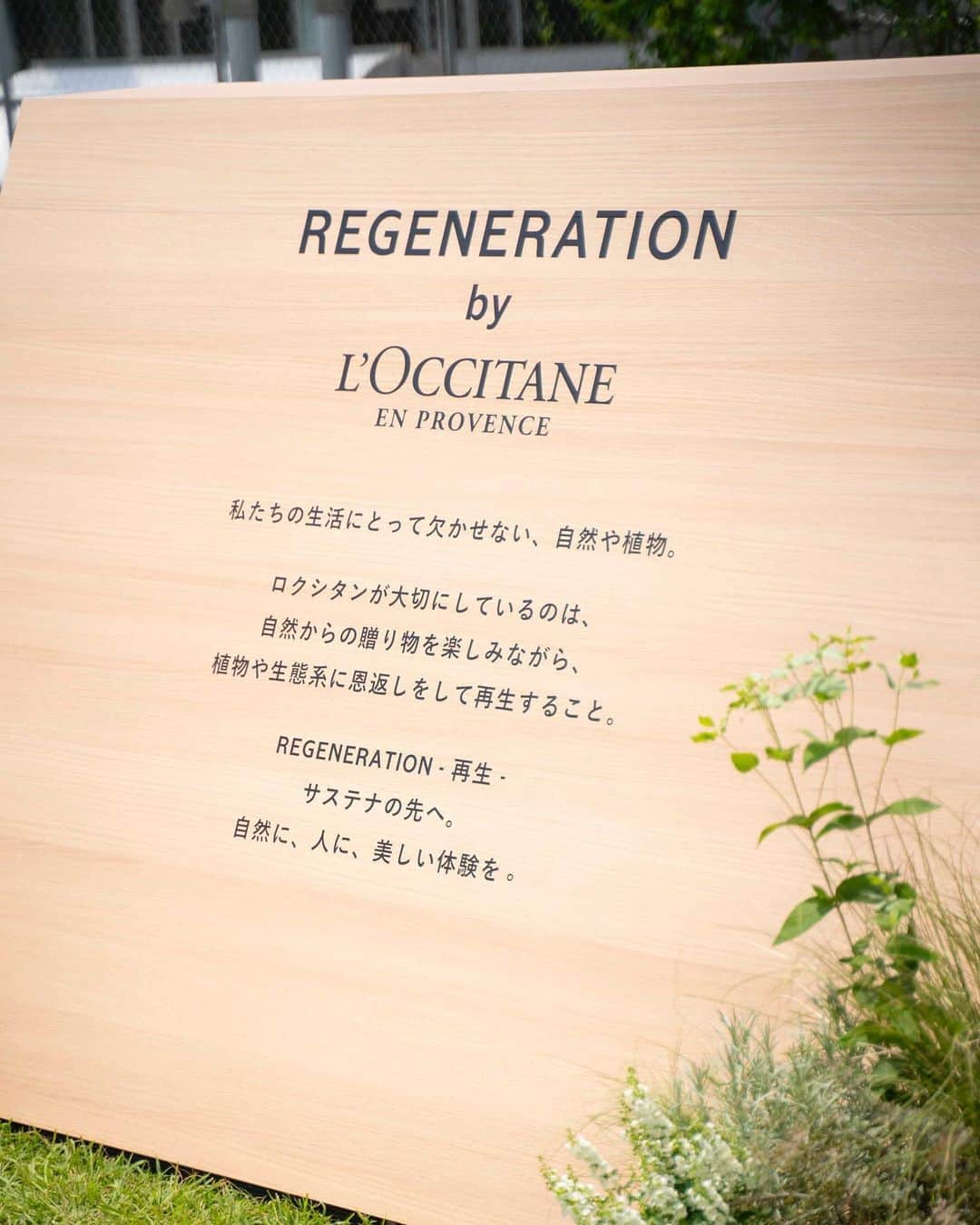 涼佳さんのインスタグラム写真 - (涼佳Instagram)「@loccitane_jp 🌼  ロクシタンのREGENERATIONイベントに参加してきました🍃  植物や生態系を可能な限り守りながら製品を作り、 自然へ恩返しをするように再生する。 いい香りの製品の裏側にある自然を守る活動を知れて すごく素敵だなと♡  7/21-7/23までの3日間、 イベントを渋谷宮下公園芝生広場で実施中なので ぜひ行ってみてください🐝♻️  #ロクシタン #loccitane #REGENERATION #miyashitapark #loccitanepr」7月20日 21時22分 - _ryoka_870