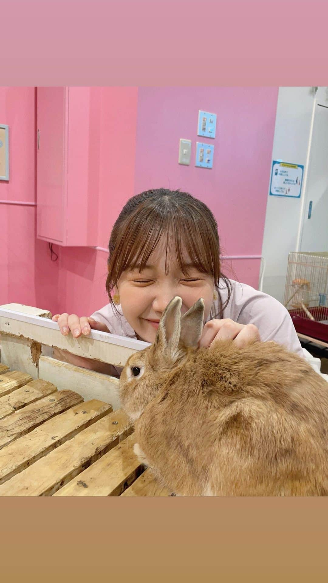 きりまるのインスタグラム：「横浜デート 🦔♡ こんなに動物と触れ合えると思ってなくて 幸せな空間すぎた、、、癒されすぎたぁぁ👨🏻‍🦲♡ . #横浜デート#横浜みなとみらい #アニタッチみなとみらい #ふれあい動物園 #横浜 #みなとみらい」