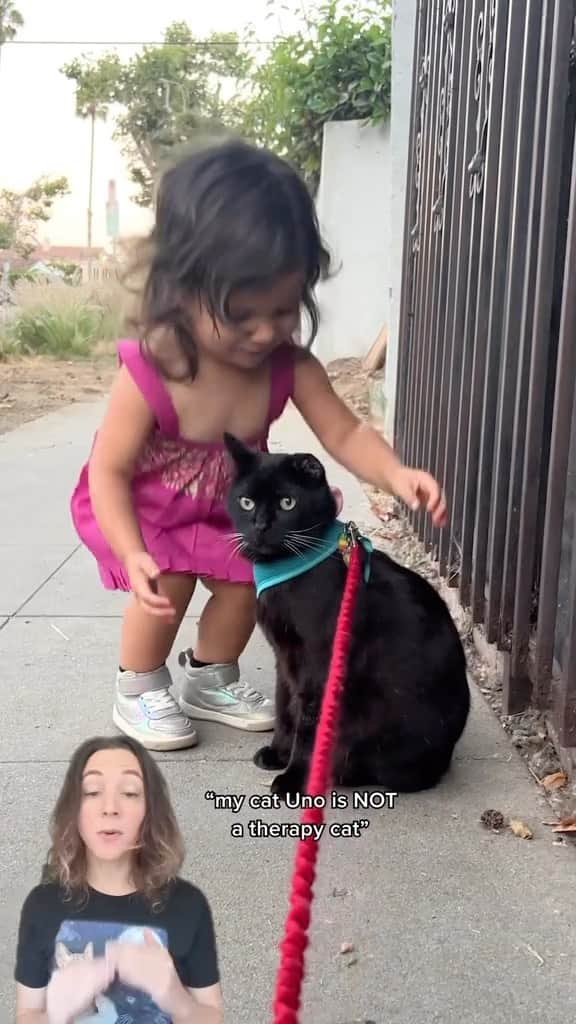 Cute Pets Dogs Catsのインスタグラム：「Being a child and having the ability to hug a cat with ur whole body is something ive never been jealous about until now 😅  Credit: beautiful @thekatcurtis and @one_eared_uno  ** For all crediting issues and removals pls 𝐄𝐦𝐚𝐢𝐥 𝐮𝐬 ☺️  𝐍𝐨𝐭𝐞: we don’t own this video/pics, all rights go to their respective owners. If owner is not provided, tagged (meaning we couldn’t find who is the owner), 𝐩𝐥𝐬 𝐄𝐦𝐚𝐢𝐥 𝐮𝐬 with 𝐬𝐮𝐛𝐣𝐞𝐜𝐭 “𝐂𝐫𝐞𝐝𝐢𝐭 𝐈𝐬𝐬𝐮𝐞𝐬” and 𝐨𝐰𝐧𝐞𝐫 𝐰𝐢𝐥𝐥 𝐛𝐞 𝐭𝐚𝐠𝐠𝐞𝐝 𝐬𝐡𝐨𝐫𝐭𝐥𝐲 𝐚𝐟𝐭𝐞𝐫.  We have been building this community for over 6 years, but 𝐞𝐯𝐞𝐫𝐲 𝐫𝐞𝐩𝐨𝐫𝐭 𝐜𝐨𝐮𝐥𝐝 𝐠𝐞𝐭 𝐨𝐮𝐫 𝐩𝐚𝐠𝐞 𝐝𝐞𝐥𝐞𝐭𝐞𝐝, pls email us first. **」