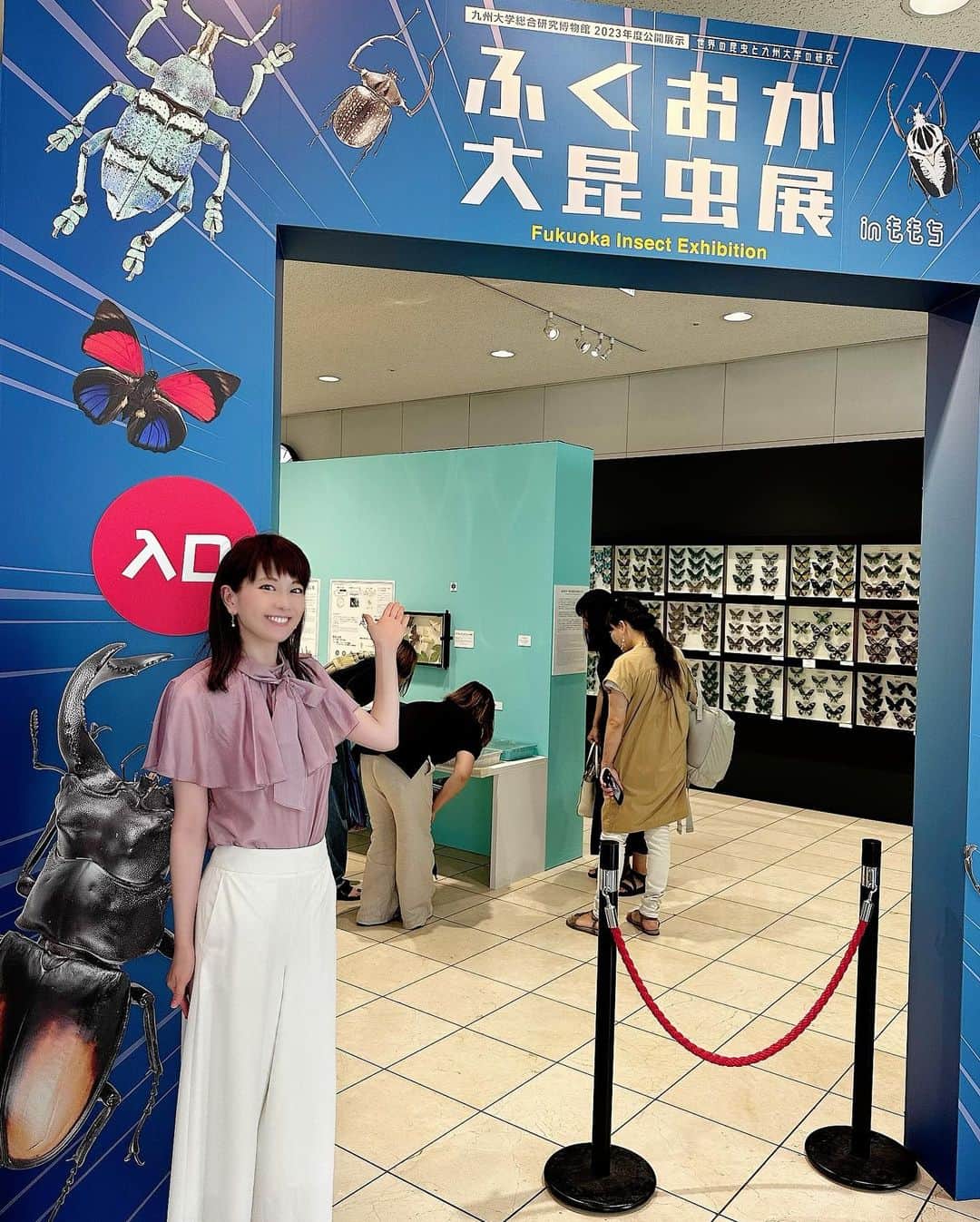 新垣泉子のインスタグラム：「【閲覧注意】 昆虫苦手〜！という方は、お気をつけください！  会社の下に行くと、何やらイベントが！！！ のぞいてみると、む、む、虫がいっぱいー！！！  『ふくおか大昆虫展inももち』がTNC放送会館1階で開催中！  とにかく世界中の珍しい昆虫が大集合！！！(生きている虫さんもいます！)虫好きなこどもたちには、たまらないでしょうな！  三連休は、行列ができるくらい大盛況だったそうですよ！  私が1番興味深かったのは、カイコ！繭(まゆ)を作るあの蚕です！ 生カイコさんが展示されていて、繭をたくさん作ってましたよ！しかも、白だけじゃなくカラフルなものも！ ていうか、そもそもカイコってこんな虫だったのかー！と今さらながら思ったり。 結構カイコは大人も子どもも夢中な人気コーナーでした！  お土産コーナーも充実していましたよ！タガメサイダーとかコオロギのお菓子？とか、、、(*⁰▿⁰*)  夏休み、お出掛けスポットに迷ったら、候補の１つにいれてみてはいかがでしょうか？(^^)  では、また〜☆  #ふくおか大昆虫展 #ふくおか大昆虫展inももち  #tnc #tnc放送会館 #昆虫イベント  #結構見応えありました  #蚕すごい #昆虫食  #タガメサイダー #食べるコオロギ #福岡夏イベント」