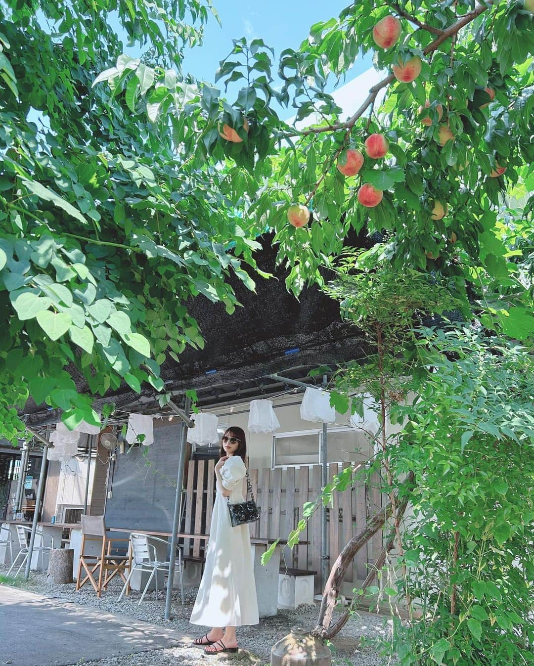 辻野かなみのインスタグラム：「❤︎  ⁡ もも🍑 ⁡ 山梨県にある桃のcafe♪「ラペスカ」 ⁡ 桃が採れる時期限定のカフェ✨ ⁡ 贅沢に桃をたくさん摂取しちゃった🫶🏻 美味しかった😊 ⁡ #辻野かなみ　#かなみん　#かなみん旅 #超ときめき宣伝部　#超とき宣 #𝗂𝗇𝗌𝗍𝖺𝗀𝗈𝗈𝖽 #𝗂𝗇𝗌𝗍𝖺𝗅𝗂𝗄𝖾 #𝖿𝗈𝗅𝗅𝗈𝗐𝗆𝖾 #𝗅𝗈𝗏𝖾 #데일리룩　#데일리룩코디　#패션	#오오티디 #데일리　#좋아요　#팔로우」