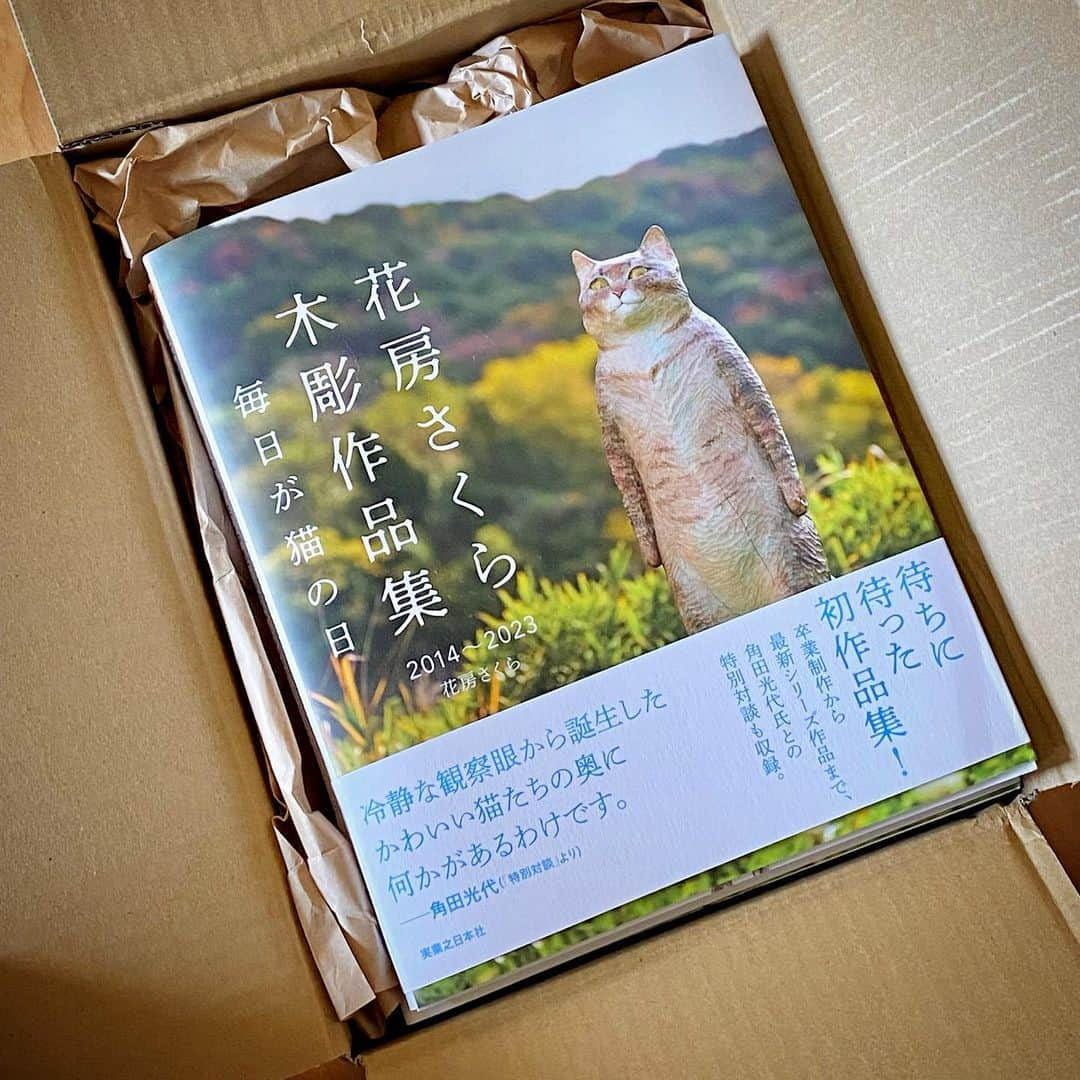 花房さくらさんのインスタグラム写真 - (花房さくらInstagram)「作品集の見本誌が届きました！ 箱を開けたら本屋さんの香り！ 横から見るとかなりの厚さ！ 大ボリュームです！  この作品集のために、あの小説家の角田光代先生と対談させていただきました！ 対談あり、生い立ちあり、制作手順ありの大ボリュームです！(2回目)  そして紙質がものすごくいいので、ぜひお手に取って触っていただきたいです･･･  発売日は7月27日です。 実業之日本社から出版です。 税込2,970円です。  #木彫 #作品集  #artbook  #cat #sculpture #hanafusasakura」7月20日 22時30分 - sakura_hanafusa