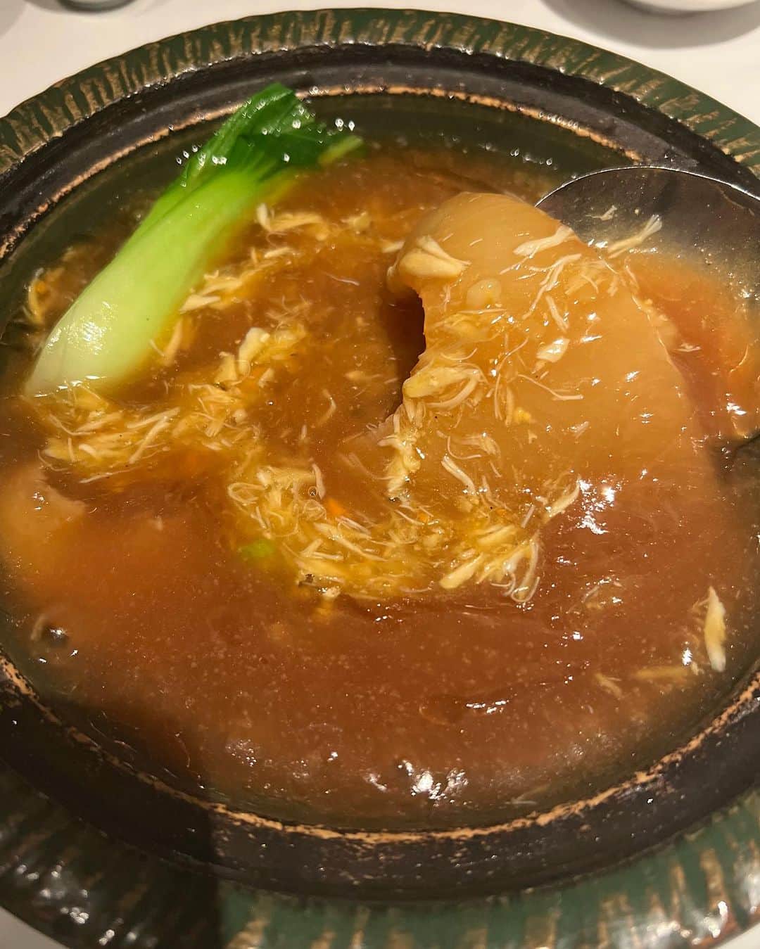 ソンイさんのインスタグラム写真 - (ソンイInstagram)「出産前の2〜3月は外食納めだ〜！と行きたいお店ほぼ制覇したのが懐かしい🤣✌🏻  せっかくなのでそのうちの1部のお気に入りお店をシェア🍽️  好き嫌いが超多い旦那だけど、夫婦共通で好きなのがトリュフなのでトリュフ祭り気味🥹🫶🏻  そろそろ娘連れてのお出かけにも慣れてきたし、特にコース料理系のお店は赤ちゃんが歩いたり自我がそんなにない月齢の方が逆に連れて行きやすいと第一子育児で学んだから、また4人家族で外食楽しもうっと💕  1枚目 BOTTEGA  (子連れ不可、料理は1つ前の投稿にアップしたよ✨4年ぶり夫婦ディナーで行けた念願のお店🍽️)  2.3枚目 Margotto e Baciare (コース料理に自分たちで選んだトリュフを全メニューにかけてくれる🤤子連れは毎月第三土曜日のランチか、ディナーも個室ならok🫶🏻お子様プレートも息子爆食いしてた🤣)  4.5枚目 銀座うかい亭 (鮑のランチコースが１番コスパよく子連れしやすいかなと🫶🏻お子様コースも絶品、子連れへのホスピタリティも完璧で我が家の特別ご飯の大優勝店🥇)  6枚目 中国飯店 (写真はフカヒレだけど中国飯店の北京ダックがとにかく好きすぎる😮‍💨💕ワイワイしてるから個室じゃなくても子連れしやすいし🤝🏻)  7枚目 SATOブリアン本店 (本店は子連れNGだから出産前に月1×4回、姉と贅沢ランチしてた🤣ブリ飯がとにかく大優勝🥇あ〜恋しい🥹3号店のランチなら子連れできるみたいです！)  8枚目 AU GAMIN DE TOKYO (個室かリニューアルした1Fなら子連れOK✨トリュフのスフレオムレツがとにかく好きぃ🍳お子様プレートも美味しい👦🏻定期的に何年も通ってる大好きなお店✨)  9枚目 鳥茂 (ピーマン肉詰め発祥の焼きトン屋さんで、上シロとレバーが大好きすぎる...🤤息子はつくねと雑炊と温麺が大好き👦🏻店内すごく活気あるから子連れしやすい！ベビーカーもokだけど2階席行くには階段のみ)  10枚目 心・技・体 うるふ (フグ焼きが絶品で親との家族ご飯の時の定番店✨座敷あるから子連れしやすい🫶🏻)  あと写真載せきれないけど、結局はよろにくが１番長年通ってるかな🤣 個室のみ子連れokでトリュフすき焼きとシルクロースは最後の晩餐で食べたいほど大好き🤤💕 息子はアラカルトでツチノコとそうめんを大人1人前食べますw」7月20日 13時46分 - sunwei1013