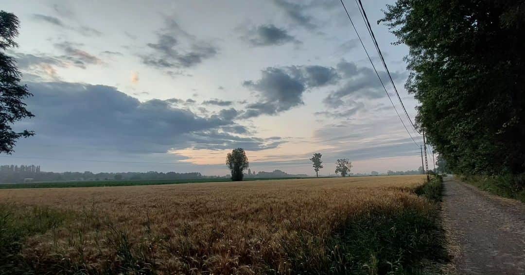 橋本英也さんのインスタグラム写真 - (橋本英也Instagram)「G'day France 🇫🇷 朝のさんぽは新鮮。」7月20日 13時56分 - eiya_hashimoto