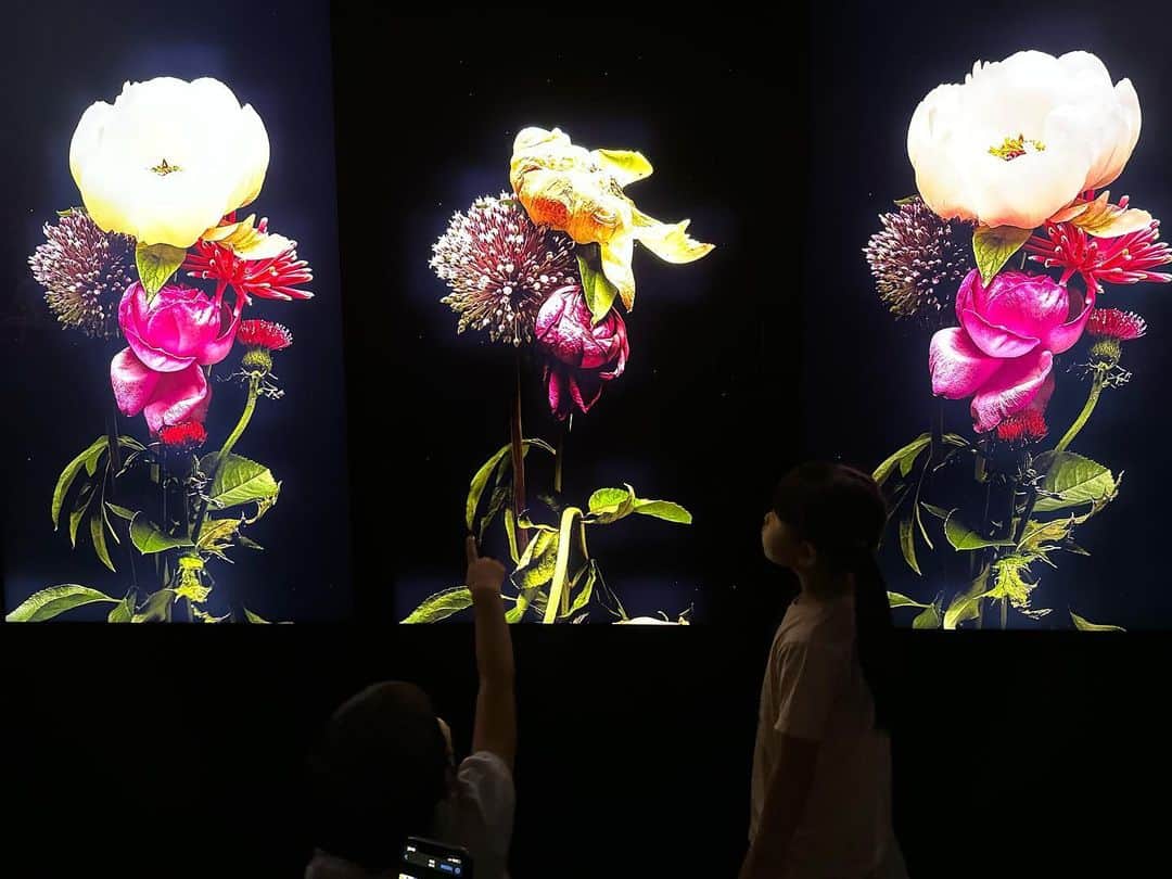Miaのインスタグラム：「花  #flowers #東信展繁花時敘」