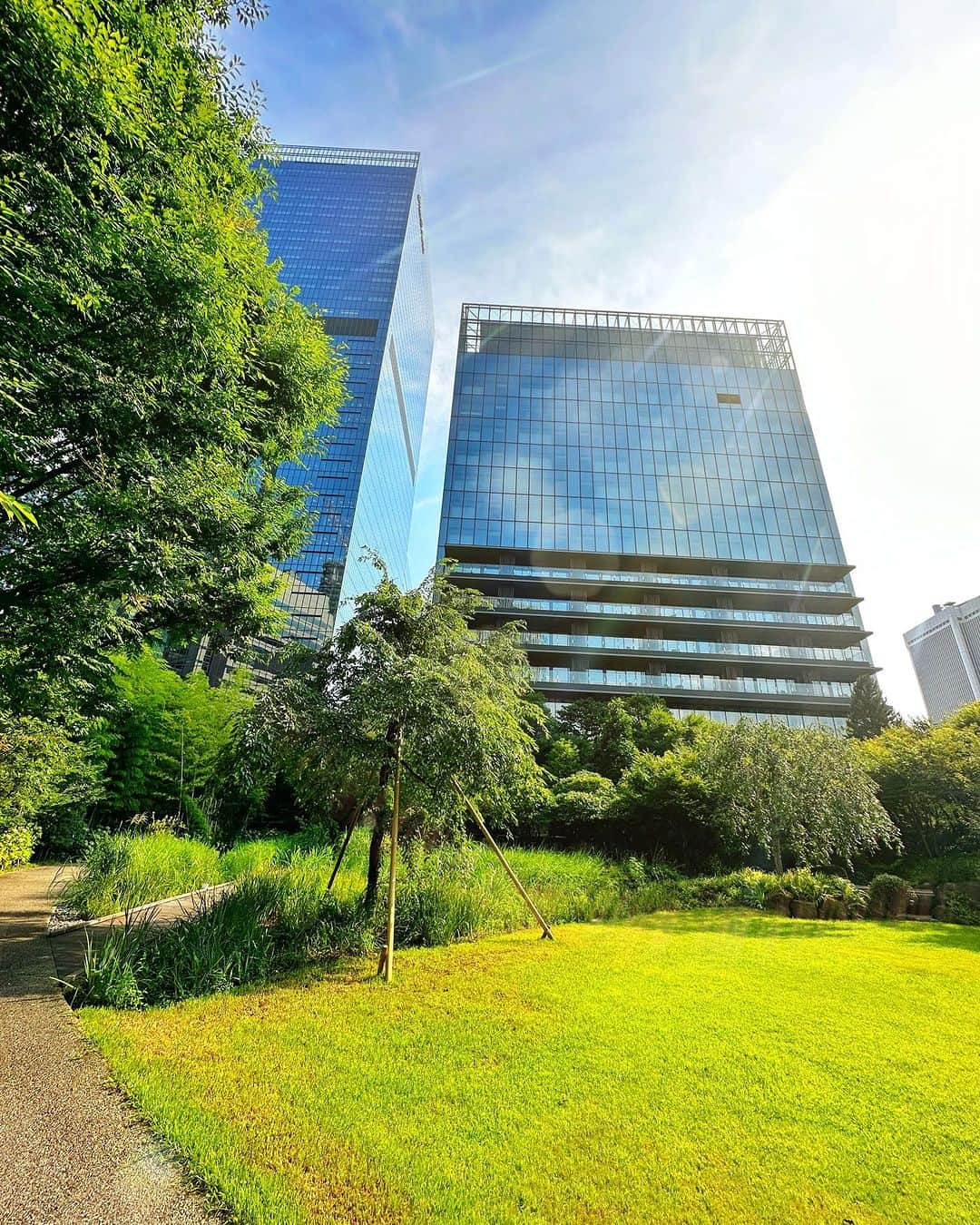 ホテルオークラ東京 Hotel Okura Tokyoさんのインスタグラム写真 - (ホテルオークラ東京 Hotel Okura TokyoInstagram)「Soak up the sunshine at The  Okura Garden☀️ 夏の日差しに照らされたオークラ東京🌳  “Okura Garden” 「オークラ庭園」  #庭園 #東京散歩 #東京ホテル #ラグジュアリーホテル #theokuratokyo #オークラ東京  #garden #tokyogarden #sdgs #freshgreen #green #naturephotography #naturegeography #gardenphotography #gardengoals #gardenplants #tokyohotel #luxuryhotel  #lhw #uncommontravel #lhwtraveler #东京 #酒店 #도쿄 #호텔 #일본 #ญี่ปุ่น #โตเกียว #โรงแรม #japon」7月20日 15時20分 - theokuratokyo