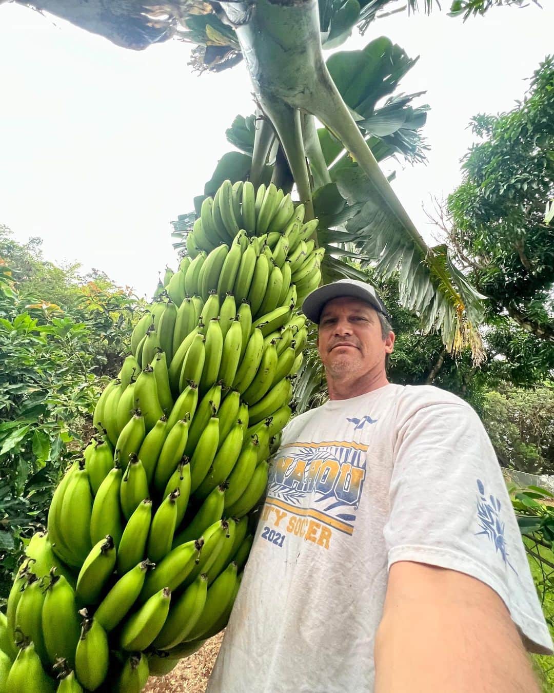 クラーク・リトルのインスタグラム：「This evenings banana harvest. 🍌🍌🍌🍌🍌 #pupukea #grown」