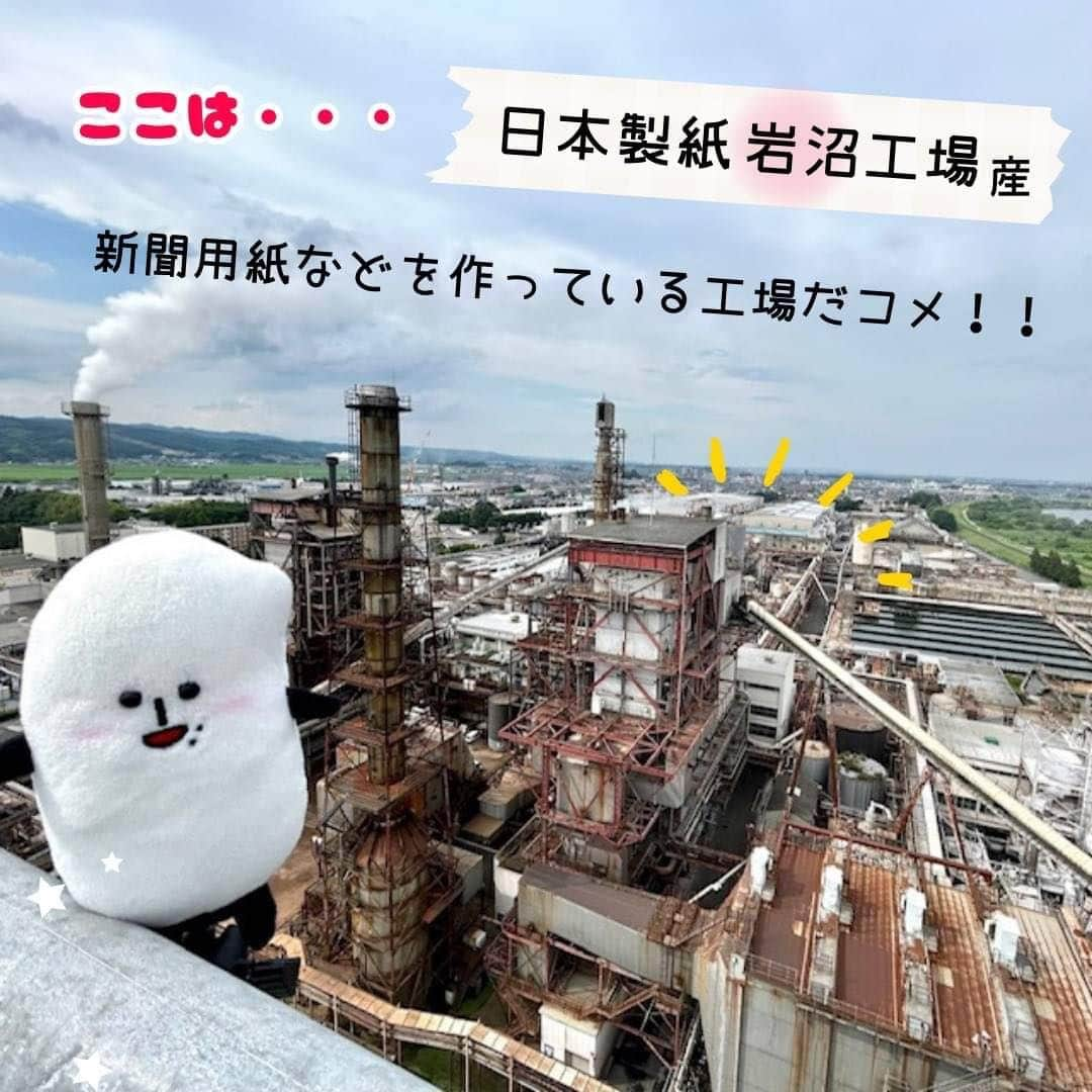 コメ助のインスタグラム