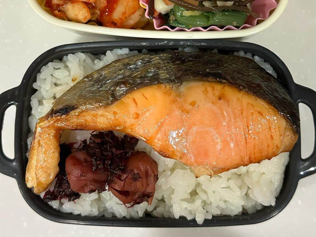 柴田淳さんのインスタグラム写真 - (柴田淳Instagram)「#今日のお弁当  鮭が１切れ200円以上しただけあって、分厚いったらなく、 お弁当の量が多くなりすぎる羽目に💦  はみ出した鮭はどうやって入れてるの？ という質問が多かったので、収納する時の写真も載せておきました。  テスト直後でぶっ倒れてた状態だったので、食べれるかなと思ったら、 速攻で蘇りました🤩  わからないかもだけど、鮭の厚みが2〜3cmあります」7月20日 16時42分 - shibatajun_official