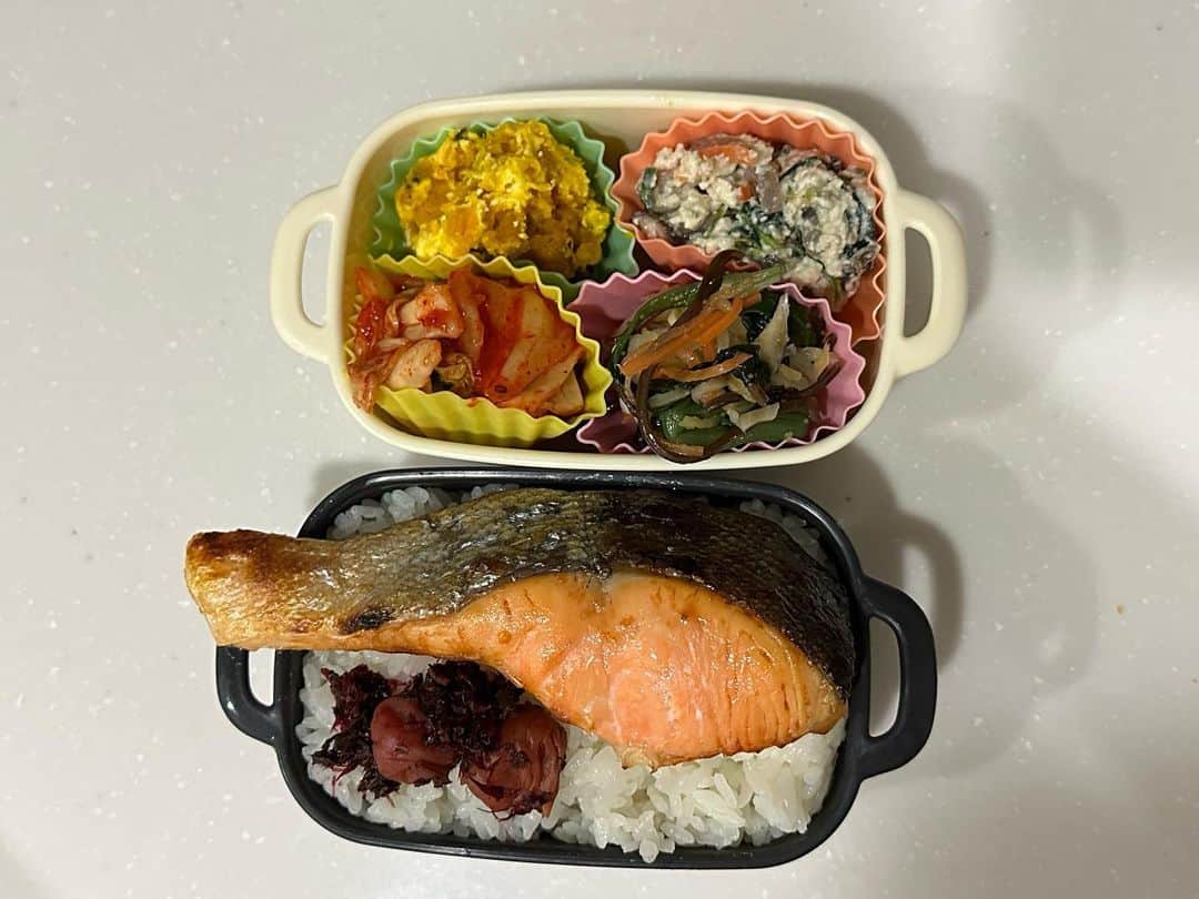 柴田淳さんのインスタグラム写真 - (柴田淳Instagram)「#今日のお弁当  鮭が１切れ200円以上しただけあって、分厚いったらなく、 お弁当の量が多くなりすぎる羽目に💦  はみ出した鮭はどうやって入れてるの？ という質問が多かったので、収納する時の写真も載せておきました。  テスト直後でぶっ倒れてた状態だったので、食べれるかなと思ったら、 速攻で蘇りました🤩  わからないかもだけど、鮭の厚みが2〜3cmあります」7月20日 16時42分 - shibatajun_official