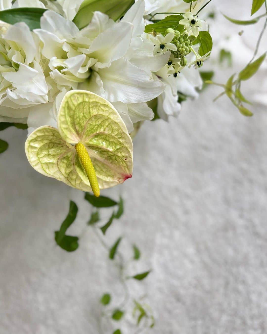 島村みやこさんのインスタグラム写真 - (島村みやこInstagram)「7月のお花の定期便🛵  毎月お花が届くたびに 素敵すぎて心踊る🥹🤍 日常にトキメキを与えてくれてありがとう☺︎  @flowershop_hanakago」7月20日 17時01分 - miyako_shimamura.official