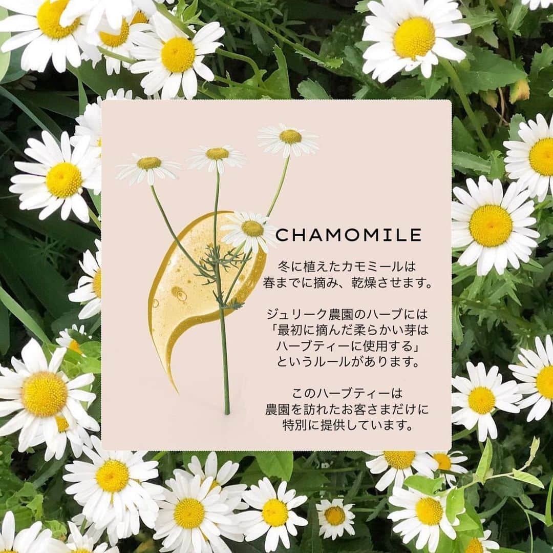 Jurlique Japanのインスタグラム