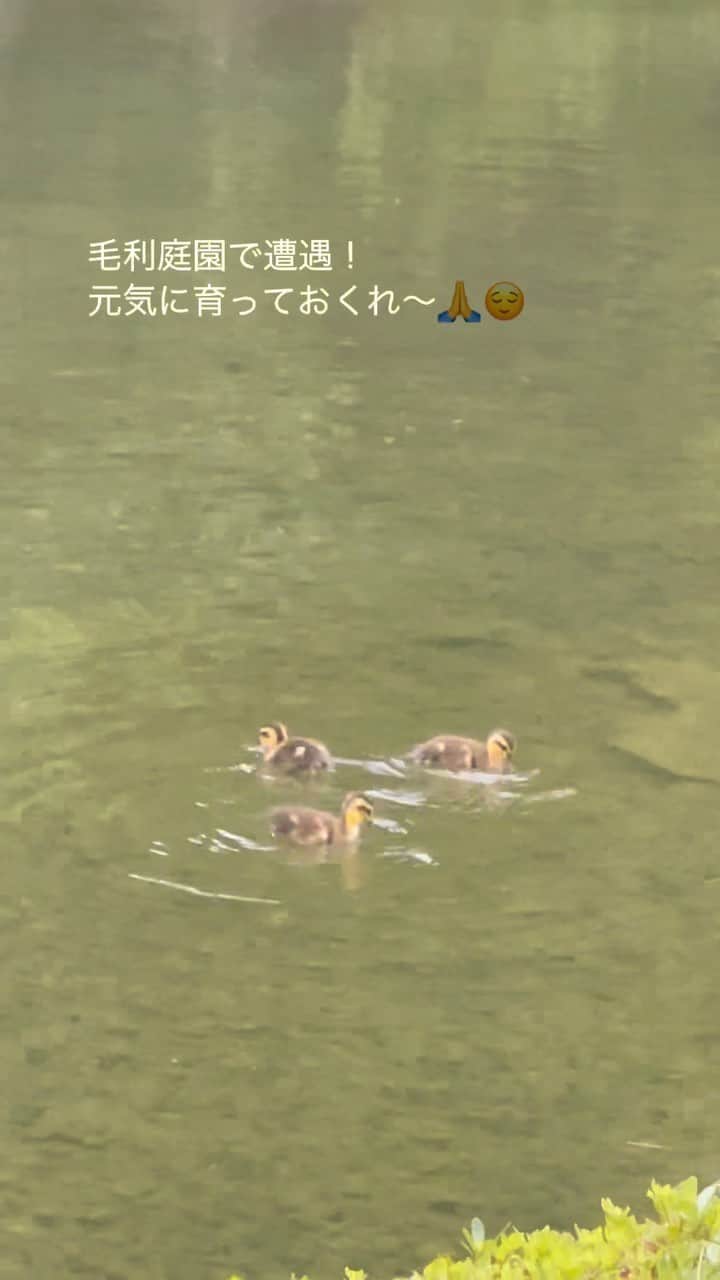 のインスタグラム