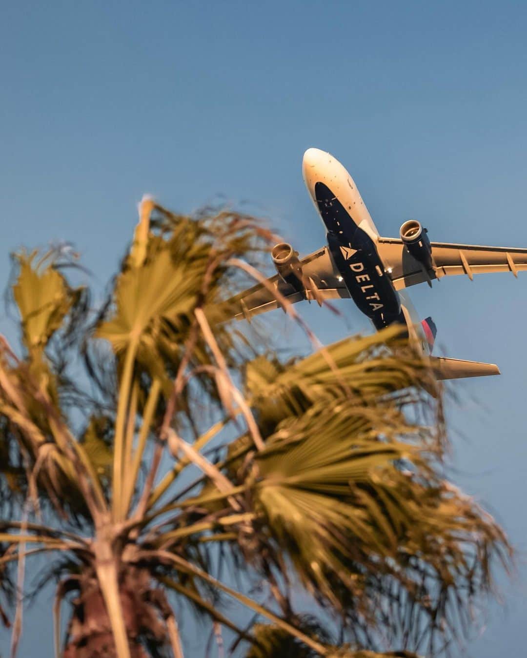 デルタ航空のインスタグラム：「Hidden in plane sight.  Photo: @aviationdylan」
