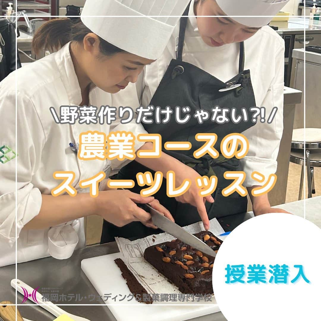 福岡キャリナリー製菓調理専門学校 さんのインスタグラム写真 - (福岡キャリナリー製菓調理専門学校 Instagram)「【農業コースのスイーツレッスン🍰✨】  先日、農芸テクノロジー科の健康美コースの授業を覗くと、スイーツ実習が行われていました〜！  健康美コースは、健康や美容に良くて安心・安全な食品や製品の、食材の生産、加工・調理、そして流通までを学べるコースです👩‍🌾🌟 4年間あるので、食材の生産だけに留まらず、商品の開発や流通まで学ぶことができるんです♪  この日は、商品開発をできるようになるために、スイーツの基礎を学ぶ授業がありました🧁メニューは、ブラウニー！🍫💖 ブラウニーを焼いている間に、バタークリームで搾りの練習もしましたが、先生に見守られると緊張してみんな大苦戦でした😂  ちなみに、調理の実習もあるので、加工品だって作れますよ〜♪  #福岡ホテルウェディングアンド製菓調理専門学校 #福岡キャリナリー#農業#健康美#オーガニック#オーガニック食品#スイーツ#スイーツづくり#スイーツ作り#農業女子#農業ガール #農業男子 #農家#農家女子#農家さんと繋がりたい #生産#生産者#生産者と繋がる」7月20日 17時40分 - fculinary