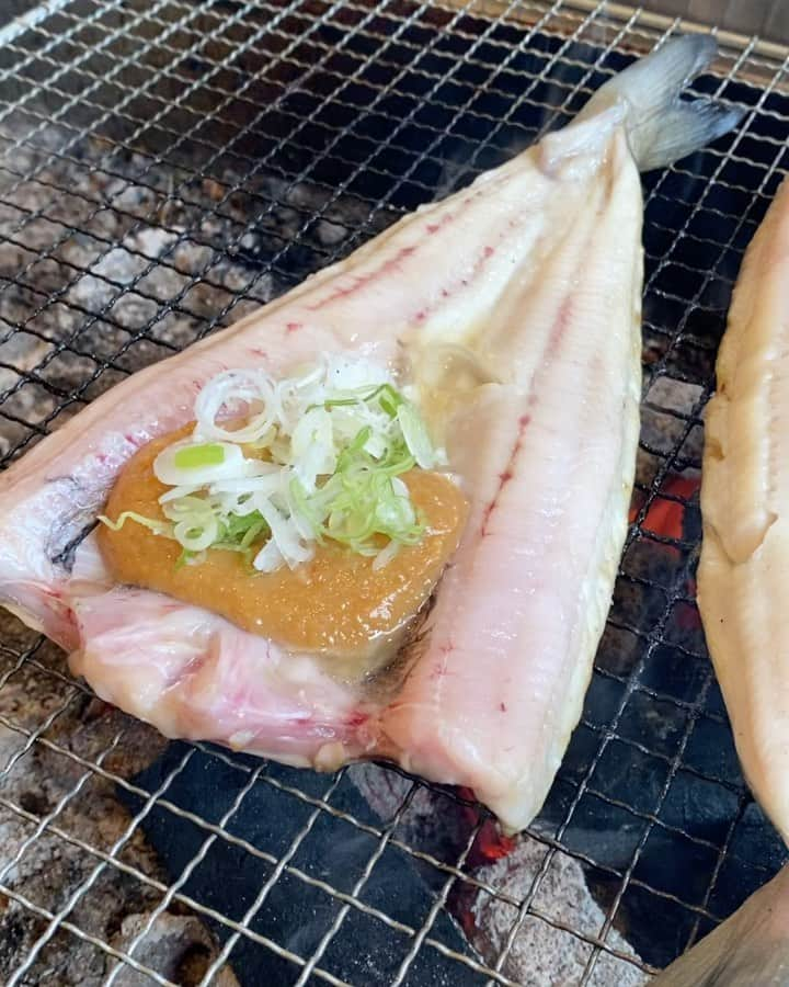 小林希のインスタグラム：「こちら礼文島、気温現在20.5度です。さいこー😇  さて、本日のランチ。 花歩きのあとに、島おすすめの ホッケのちゃんちゃん焼き🐟 炉端で焼きますが、 え、生では？というくらい 柔らかい身をほぐしながら いただきます🙏 めっ　　　　　ちゃ　うま💚  #礼文島 #北海道 #島旅 #船旅 #ほっけのちゃんちゃん焼き」