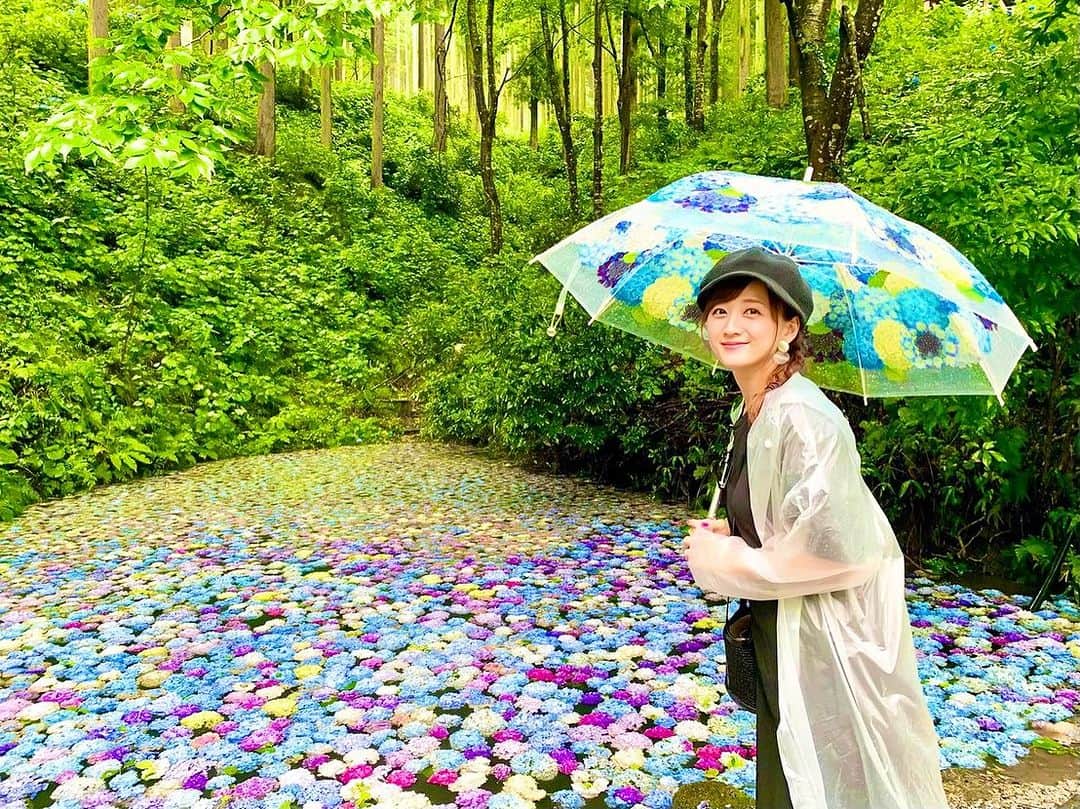 小松彩夏さんのインスタグラム写真 - (小松彩夏Instagram)「⁡ やーーーっと行けました❣️ ⁡ 一関市舞川にある 【みちのくあじさい園】✨ ⁡ 約４００種４万株のあじさいが咲き、樹間の風はひんやりと澄みきって、たっぷりと気持ちのいい森林浴ができちゃいます🌿 ⁡ 雨が降っていたので今回は初めて運転手付きのカートで園内を周りましたが、これが快適すぎました☺️🌸 ⁡ 屋根もあるし、運転手さんが紫陽花の説明や園内の案内を詳しくしてくれて、紫陽花にとっても詳しくなりました❣️笑 ⁡ 雨でも紫陽花の傘やカッパも貸していただいたおかげで、とっても楽しむ事が出来ました😊🌸 ⁡ そして今回やっとあじさいの池に花が浮かべてある期間に行く事が出来ました✨ ⁡ 色とりどりの紫陽花が池に浮かんでいて、雨粒があたるとゆらゆら揺れているのがとっても可愛かったです💕 ⁡ 【みちのくあじさい園】は7/24(月)まで！ ⁡ 詳しくはいち旅の ホームページをご覧ください🙇‍♀️  https://www.ichitabi.jp/spot/data.php?p=36  ⁡ みちのくあじさい園 📞0191-28-2349　 📍岩手県一関市舞川字原沢111 ⁡ #みちのくあじさい園 #みちのくあじはいえん #あじさい園 #紫陽花園 #あじさいえん #紫陽花 #一関 #一関市 #舞川 #地元 #岩手 #岩手県 #故郷 #一関市観光大使  ⁡」7月20日 18時17分 - official_ayaka_502