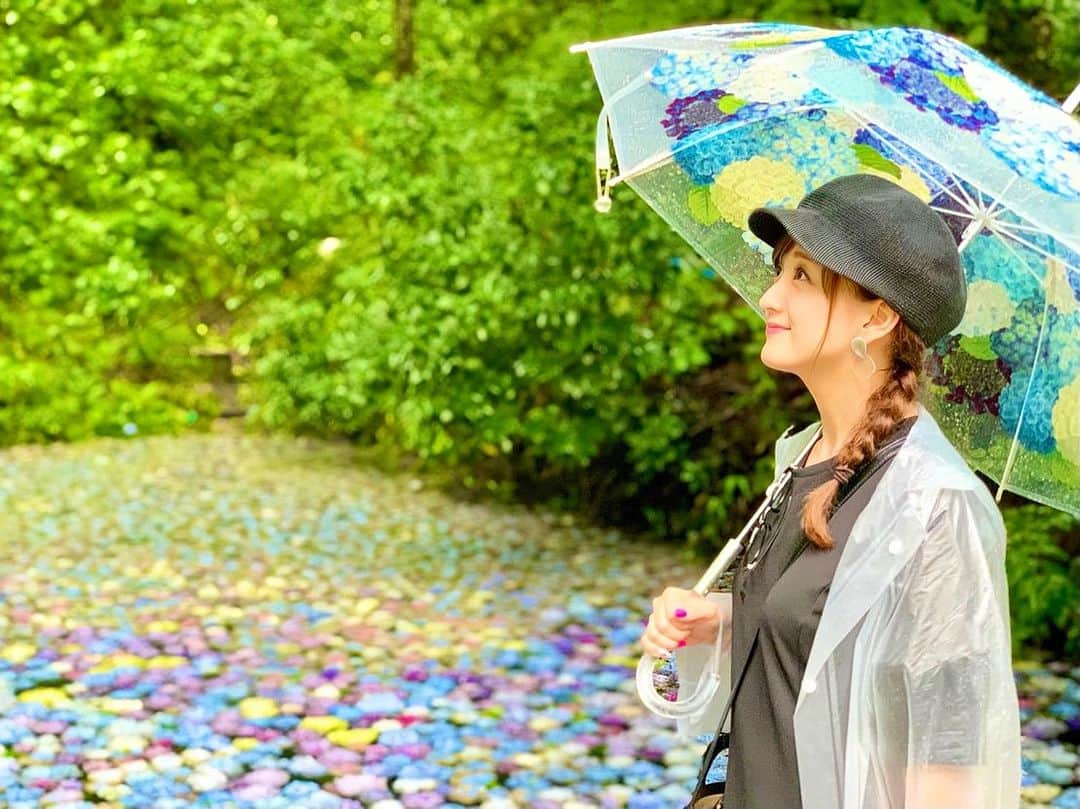 小松彩夏さんのインスタグラム写真 - (小松彩夏Instagram)「⁡ やーーーっと行けました❣️ ⁡ 一関市舞川にある 【みちのくあじさい園】✨ ⁡ 約４００種４万株のあじさいが咲き、樹間の風はひんやりと澄みきって、たっぷりと気持ちのいい森林浴ができちゃいます🌿 ⁡ 雨が降っていたので今回は初めて運転手付きのカートで園内を周りましたが、これが快適すぎました☺️🌸 ⁡ 屋根もあるし、運転手さんが紫陽花の説明や園内の案内を詳しくしてくれて、紫陽花にとっても詳しくなりました❣️笑 ⁡ 雨でも紫陽花の傘やカッパも貸していただいたおかげで、とっても楽しむ事が出来ました😊🌸 ⁡ そして今回やっとあじさいの池に花が浮かべてある期間に行く事が出来ました✨ ⁡ 色とりどりの紫陽花が池に浮かんでいて、雨粒があたるとゆらゆら揺れているのがとっても可愛かったです💕 ⁡ 【みちのくあじさい園】は7/24(月)まで！ ⁡ 詳しくはいち旅の ホームページをご覧ください🙇‍♀️  https://www.ichitabi.jp/spot/data.php?p=36  ⁡ みちのくあじさい園 📞0191-28-2349　 📍岩手県一関市舞川字原沢111 ⁡ #みちのくあじさい園 #みちのくあじはいえん #あじさい園 #紫陽花園 #あじさいえん #紫陽花 #一関 #一関市 #舞川 #地元 #岩手 #岩手県 #故郷 #一関市観光大使  ⁡」7月20日 18時17分 - official_ayaka_502