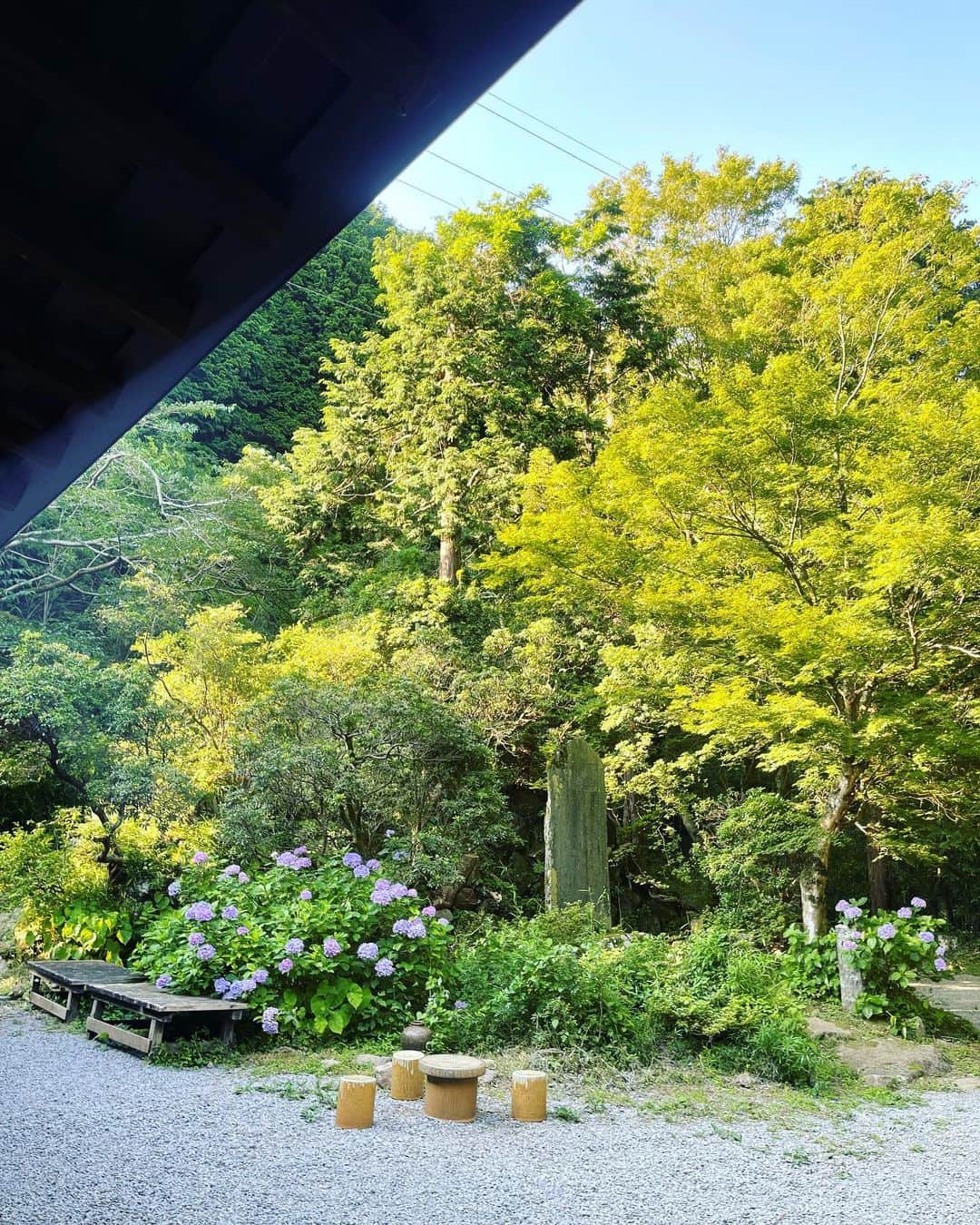 ダレノガレ明美さんのインスタグラム写真 - (ダレノガレ明美Instagram)「夏☀️☀️☀️ 箱根は涼しい場所が多かったです☺️  また行きたいなぁ〜」7月20日 18時28分 - darenogare.akemi