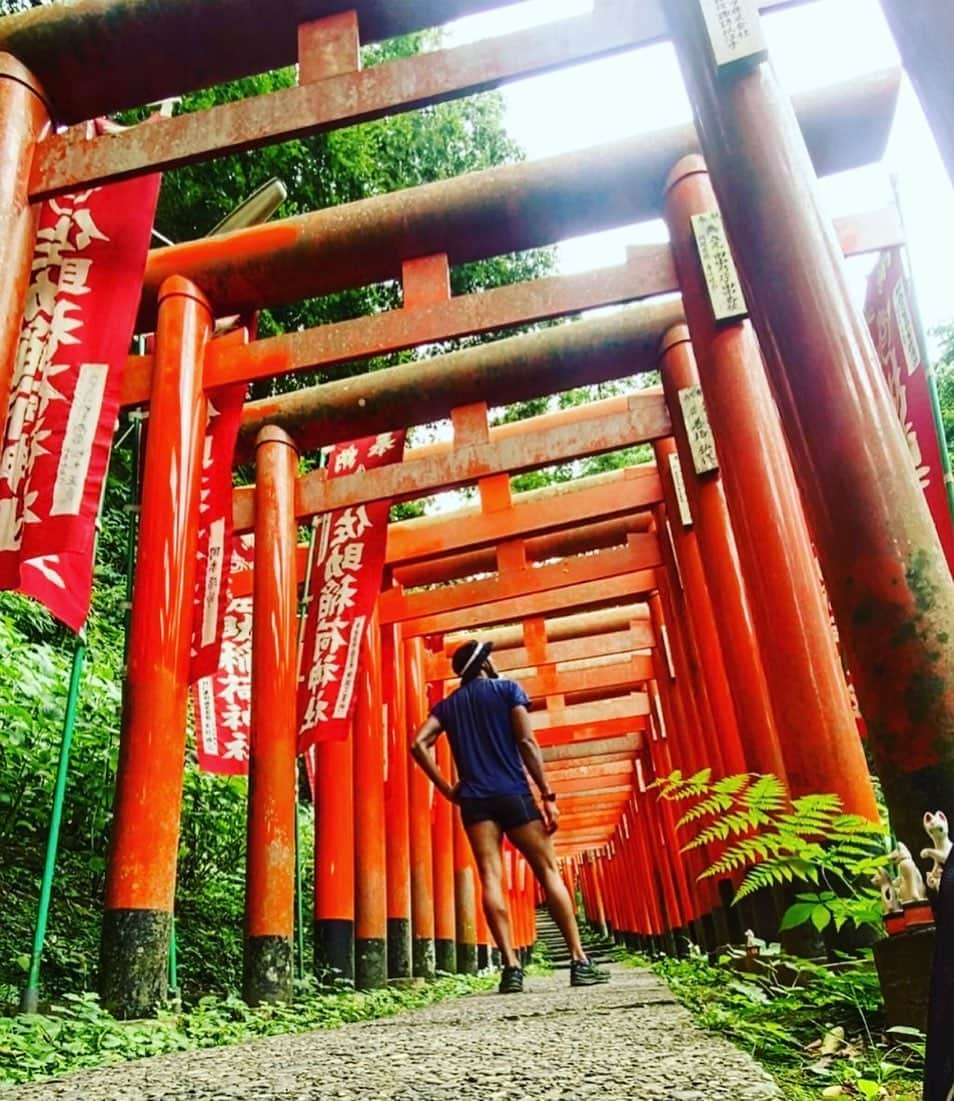 モーゼス夢のインスタグラム：「モーゼス散歩💨 #⛩️#神社#神社巡り#鎌倉#鎌倉観光#鎌倉散歩#尼崎の黒豹#モーゼマン#神出鬼没#散歩#トトロの森#君たちはどう生きるか#お参り」