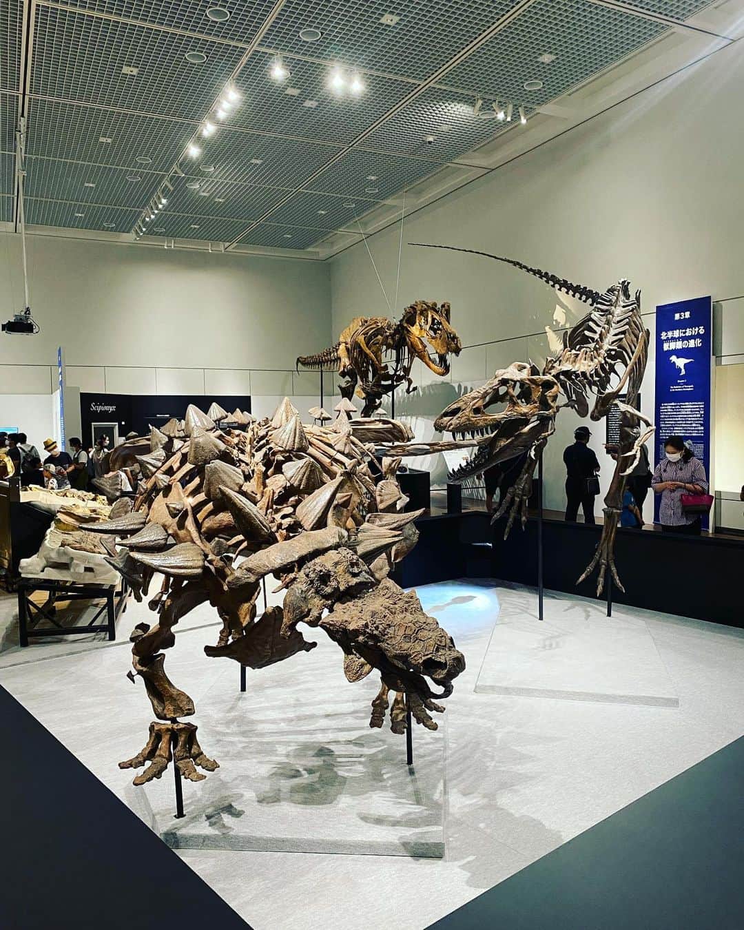 武田訓佳さんのインスタグラム写真 - (武田訓佳Instagram)「🦕🦖 ・ この前のお休みに 「恐竜博2023🦖」 行ってきました💜 ・ ・ 大阪市立自然史博物館、 常設展示もすごく見応えがあって じっくり濃い時間を過ごしました🥰 ・ 化石を実際に見たのはたぶん初めて😳 この子はカナダから来たのかぁ おててがかわいいなぁ うわ〜ほねぶと〜〜ぉ とか言いながら← わたしなりに楽しんできました😆 ・ ・ ティラノサウルスさんとの自撮り2ショットは やや失敗🤳😉 どれもかっこよかったなぁ🤍 ・ ・ ちなみに⚠️ 週末に行ったんだけど整理券配ってはりました🎫 とはいえ行った時間にそのまま入れたけど😇 夏休みなどこれから行かれる方は 時間余裕持って行くとゆっくり楽しめるかもです💜 ・ ・ ・ #たけだの日常 #おやすみの日 #恐竜博2023 #恐竜博 #🦖」7月20日 19時02分 - kunika0117