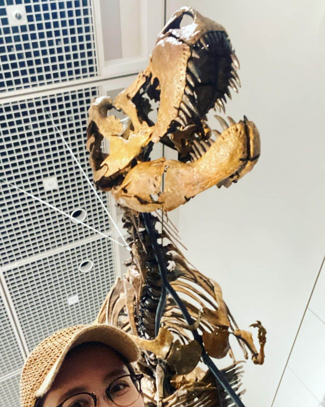 武田訓佳さんのインスタグラム写真 - (武田訓佳Instagram)「🦕🦖 ・ この前のお休みに 「恐竜博2023🦖」 行ってきました💜 ・ ・ 大阪市立自然史博物館、 常設展示もすごく見応えがあって じっくり濃い時間を過ごしました🥰 ・ 化石を実際に見たのはたぶん初めて😳 この子はカナダから来たのかぁ おててがかわいいなぁ うわ〜ほねぶと〜〜ぉ とか言いながら← わたしなりに楽しんできました😆 ・ ・ ティラノサウルスさんとの自撮り2ショットは やや失敗🤳😉 どれもかっこよかったなぁ🤍 ・ ・ ちなみに⚠️ 週末に行ったんだけど整理券配ってはりました🎫 とはいえ行った時間にそのまま入れたけど😇 夏休みなどこれから行かれる方は 時間余裕持って行くとゆっくり楽しめるかもです💜 ・ ・ ・ #たけだの日常 #おやすみの日 #恐竜博2023 #恐竜博 #🦖」7月20日 19時02分 - kunika0117