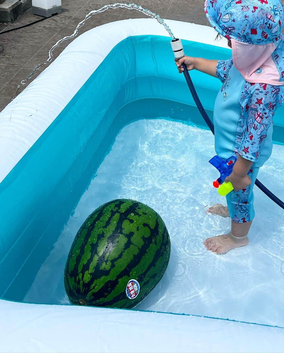 得あゆさんのインスタグラム写真 - (得あゆInstagram)「ただひたすらスイカ🍉  スイカスムージーが好きすぎる…🍉❤️ 本当に美味しい🥹❤️  氷🧊とスイカ入れるだけ。  簡単でおいしくてヘルシー！！！ スイカはカリュウムが沢山なので 浮腫みも取れるし、最高です! ダイエットにどうぞ！🍉  #スイカ#pr#西瓜#スイカのprってなんやねん」7月20日 19時12分 - tokuayu819