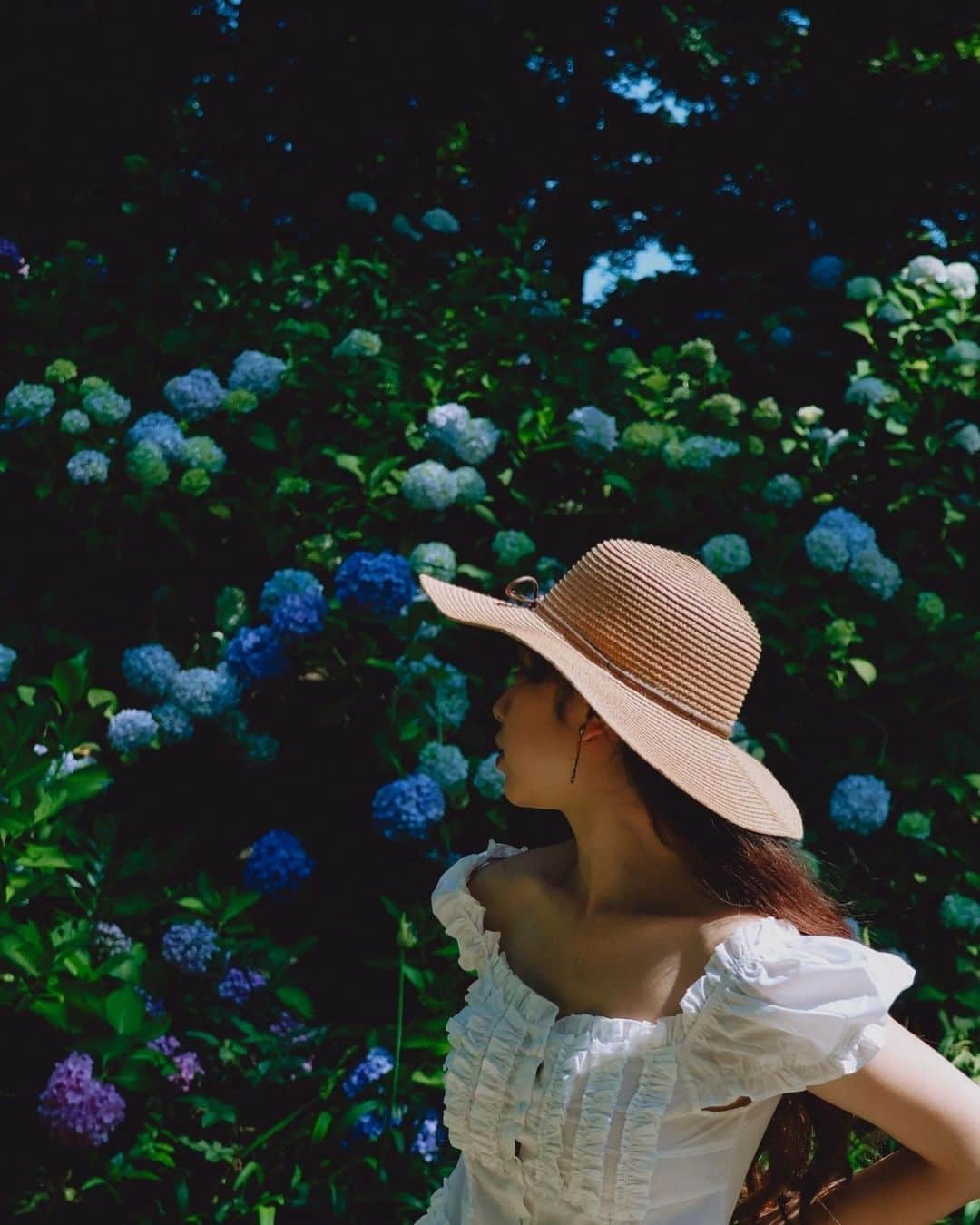 Juli＠のインスタグラム：「ジサ・アジサイ  ..  #6月  #紫陽花ポートレート  #紫陽花  #flowerportrait  #hydrangeas  #夏のはじまり」