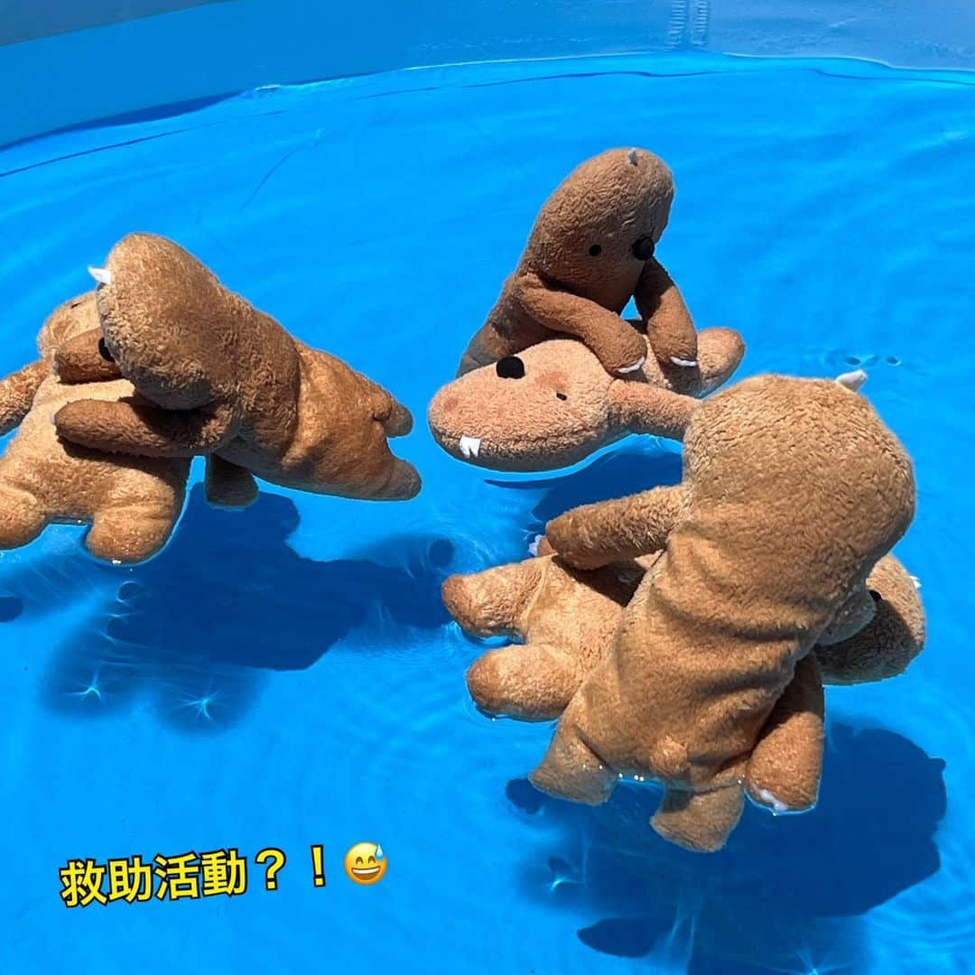 江口ともみさんのインスタグラム写真 - (江口ともみInstagram)「プール開き Part2  あっ💦最初の2つの動画はPart1とかぶってたことに気づきました😅あしからず  ほぼスタイリストちゃんと 子供たちの遊んでる様子😆  中途半端に濡れるともぐ族は 微妙に汚れて見える😅  たまに映り込むうつ伏せな子が心配になるけど、映り込む足も気になるよね😅  まだ続く。。。  #fumofumosan #フモフモさん  #もぐたろう #プール開き#プール遊び #もぐぐ #スタイリストもぐみちゃん  #水遊び #シンクロ #アーティスティックスイミング」7月20日 20時26分 - tomomin.eguchi