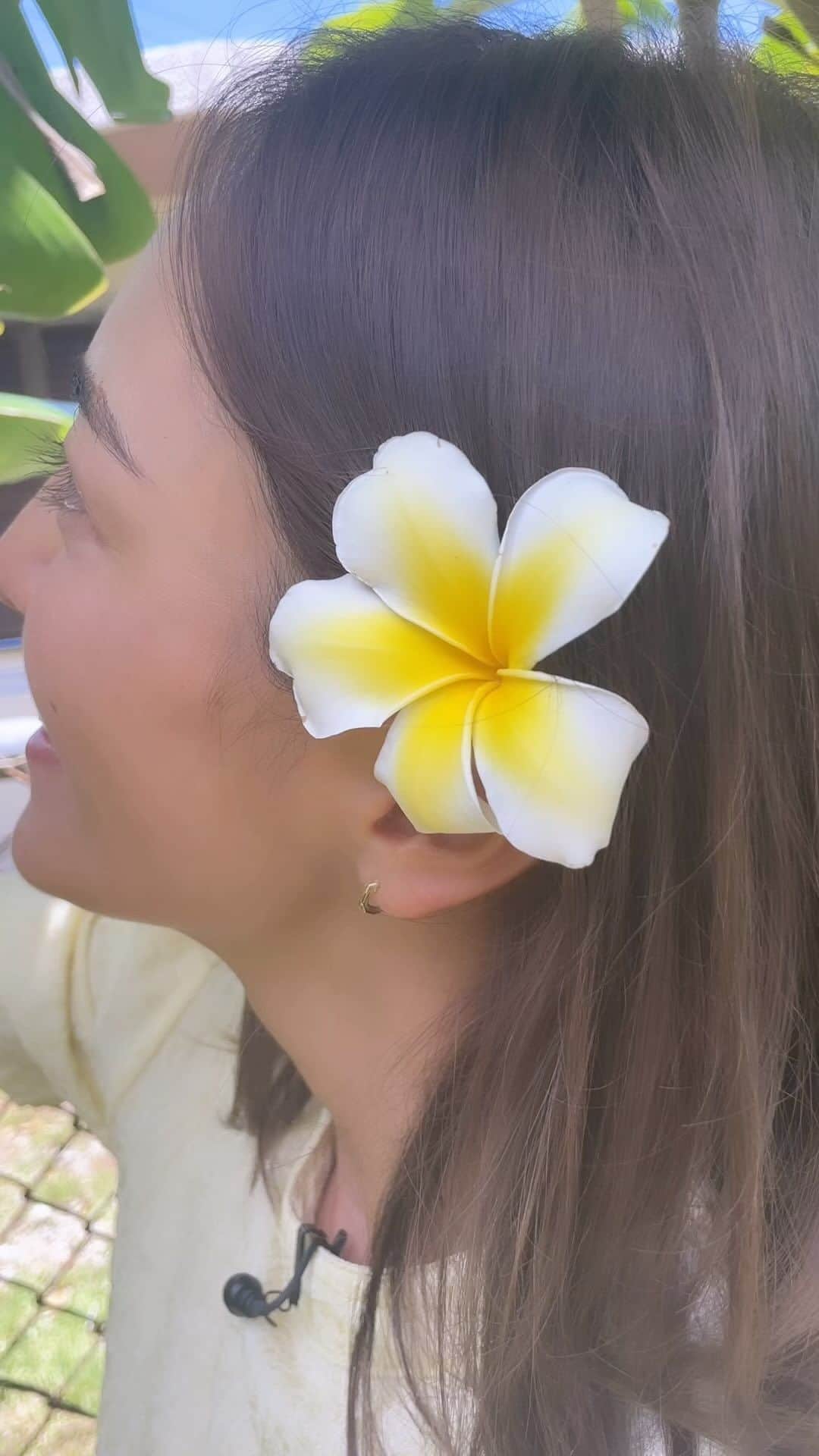 夏美のインスタグラム：「おっきくない？😳  沖縄はそこらじゅうにバナナの木がたっくさん🌴 その中でも島バナナは一房千円以上する高級バナナ🍌 小ぶりな物が多いんですが こんな立派なの初めて見た👀笑  もっちりしてて 甘い➕すこし酸味があるのが特徴だよ〜✨  意外と知られていない島バナナ 沖縄にきたら是非食べてみてほしいフルーツです❤︎」