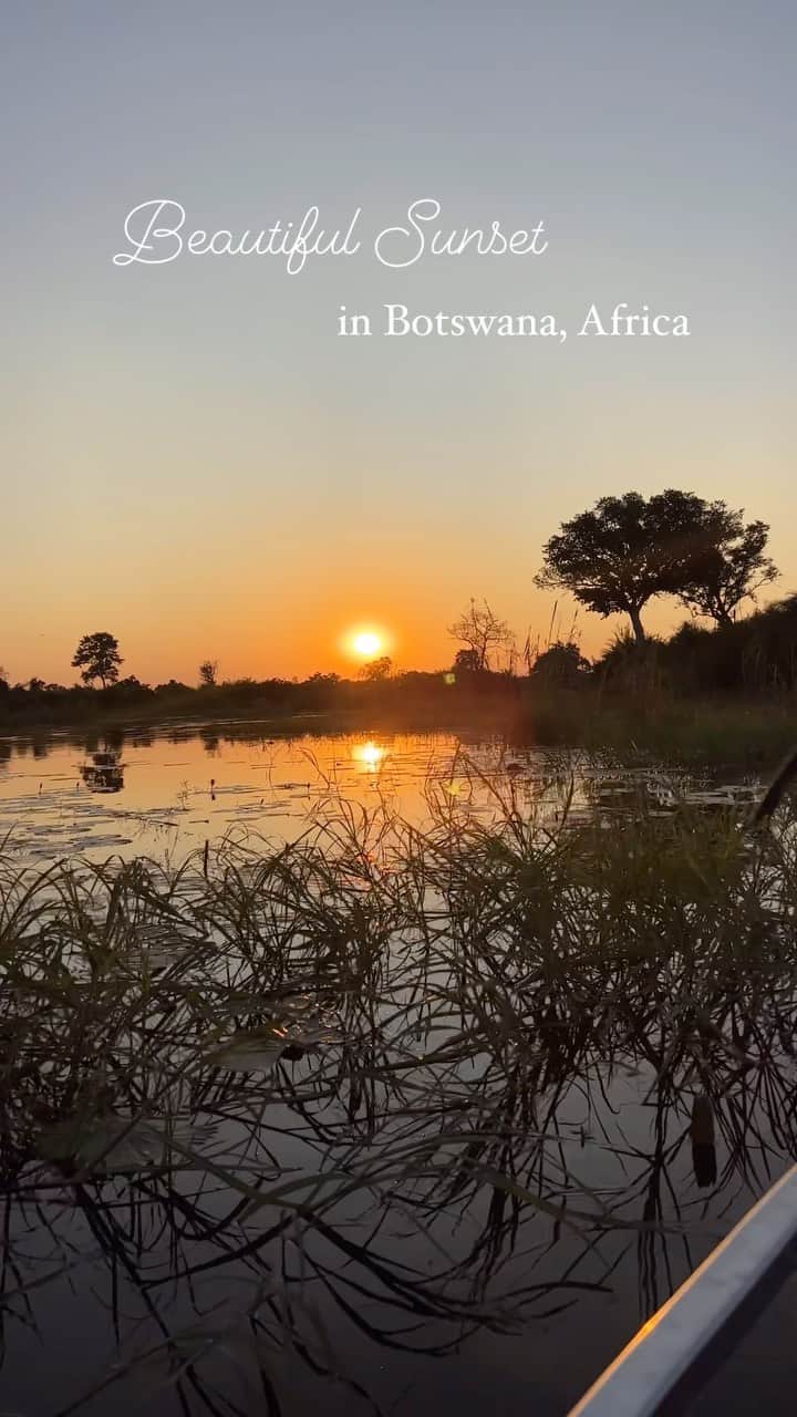 比嘉バービィのインスタグラム：「Beautiful sunset in Botswana over the waters of the Okavango Delta.   壮大な自然…  新しい発見  改めて私たちは生かされているんだなと…  3年ぶりの海外取材で感じこと、みんなに伝われば嬉しいです☘️  7/22(sat)9:00pm Start! #世界ふしぎ発見  #ミステリーハンター  様々な感情を抱き挑んだロケ #アフリカ #感覚が研ぎ澄まされた #ボツワナ #大塩湖 と#大湿地  #オカバンゴデルタ  #Barby旅行記 #Botswana #okavangodelta」