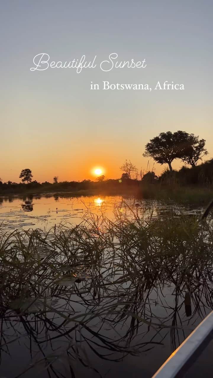 のインスタグラム：「Beautiful sunset in Botswana over the waters of the Okavango Delta.   壮大な自然…  新しい発見  改めて私たちは生かされているんだなと…  3年ぶりの海外取材で感じこと、みんなに伝われば嬉しいです☘️  7/22(sat)9:00pm Start! #世界ふしぎ発見  #ミステリーハンター  様々な感情を抱き挑んだロケ #アフリカ #感覚が研ぎ澄まされた #ボツワナ #大塩湖 と#大湿地  #オカバンゴデルタ  #Barby旅行記 #Botswana #okavangodelta」