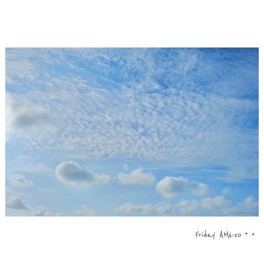 菊池真以のインスタグラム：「おはようーっ！ 色んな雲の中に魚🐟🐟🐟が見えた 水族館に行きたいな🤣  良い一日に💓  #ときめく雲図鑑」