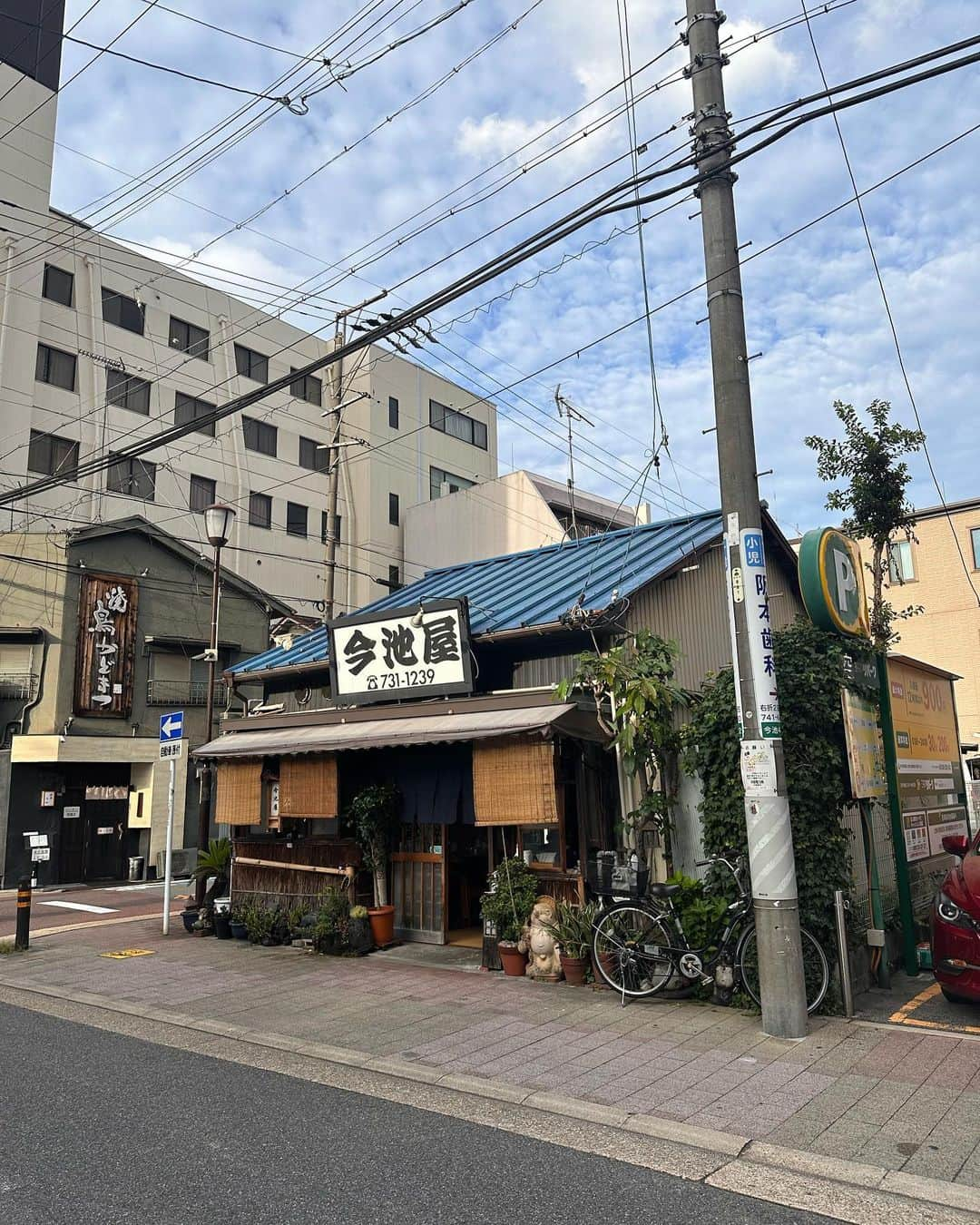 倉本康子さんのインスタグラム写真 - (倉本康子Instagram)「★ 〜ヤッコの酒旅〜 「今池屋」@名古屋  名古屋の今池というエリアにあるお好み焼き屋さんの「今池屋」。 ビルや駐車場に囲まれているけど、昔からの風情を綺麗に残したままで、佇まいからも今池屋さんからは何か意志を感じる。  名古屋を代表する食べ物も多いですが、名古屋のお好み焼きってどんなだろうかと興味が湧いて入ってみたところ、ラスト1席残っていただけというラッキーな入店。  お人形が飾られているスペースの前の座敷で、所謂「親戚の家に来た」という感覚に。 (親戚の家が実際はこの和風な雰囲気ではなくても、皆そう感じてしまうのは日本人の性というものでしょうね)  焼いて各々で味付けを、と提供されるメニューもあれば、お好み焼きや焼きそばは、品良くお美しいママさんが焼いてくださる様子。 大将は息子さんだろうか、雰囲気がとても似ておられるから親子なんだろうか。  ひとまず「ほたて牛巻き」という、そそられる響きのものと「いか肉玉(お好み焼き)」を注文。  ほたて牛巻きは巻かれた状態で鉄板に運ばれてきて、しばし蒸した後にご開帳！ 美味しい✖️美味しい🟰美味しいんですね。笑 もし自宅だったら卵の黄身も追加してご飯🍚と食べたいなーと妄想してみたり。  そしていよいよ〝名古屋のお好み焼き〟！ マダムが焼いているのを拝見もしたけど、薄生地にキャベツたっぷりで、大阪ではなく広島のお好み焼きに近い印象。 とは言え名古屋は広島よりも大阪のほうが近いわけで、きっと独自な定義があるのでしょうが、、、解明ならずです。笑 ただわかったことは、、、  美味しかった！ということです。笑  数名でワイワイと鉄板を囲んで砂肝とかを焼いている方々もおられたりして、外観、内観の雰囲気、最高でした！  名古屋の宝物みたいなお店！ この雰囲気が、ずーっと続きますように。  NO ALCOHOL, NO LIFE !!  #ヤッコの酒旅 #noalcholnolife #酒場 #居酒屋 #バー #酒旅 #倉本康子 #かんぱいでーす #乾杯でーす #やっこ持ち #ヤッコ持ち #アラフィフファッション #アラフォーファッション #ootd #カジュアルコーデ #fashion #fashioncordinate #izakaya #beer #一食入魂 #魂を感じる店 #一駅一店 #出会いがご縁 #今池屋 #名古屋」7月21日 7時37分 - yasuko_kuramoto_yakko