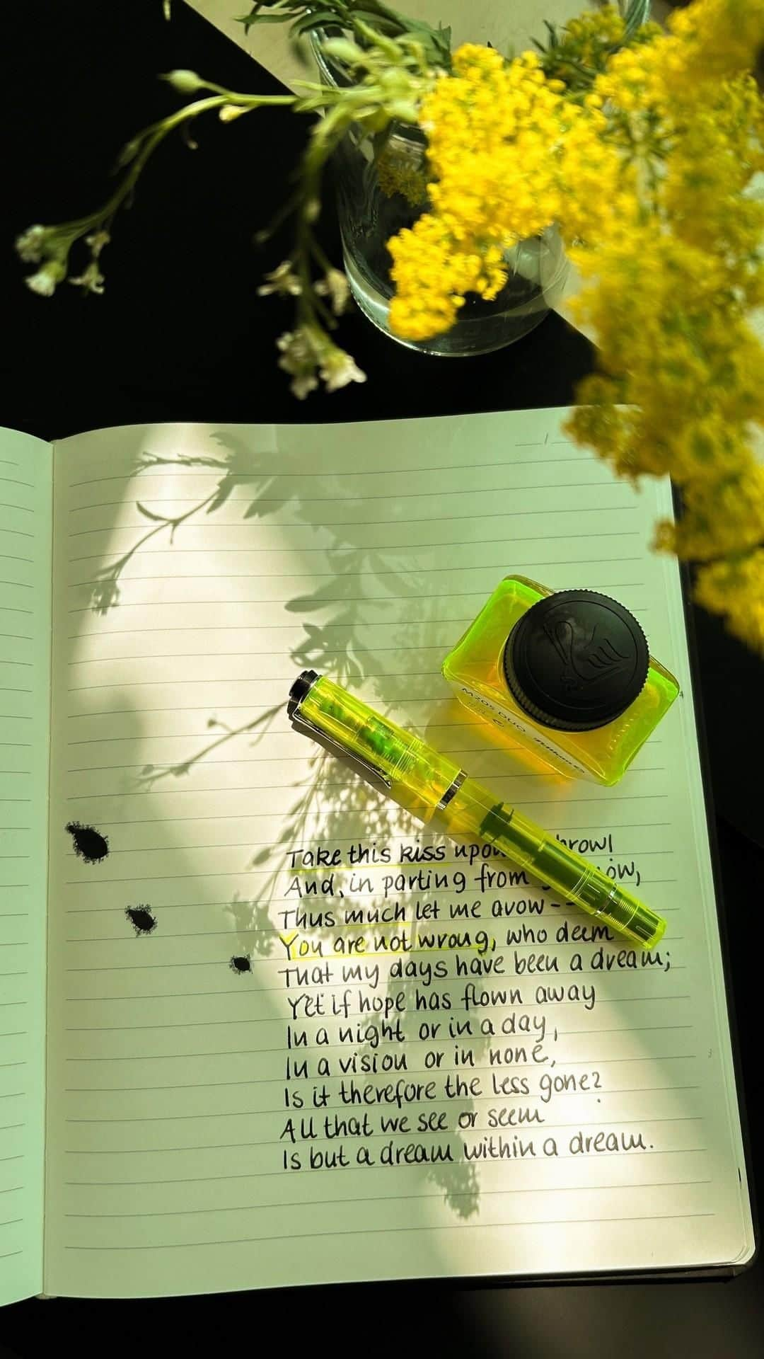 ペリカンのインスタグラム：「Perfect team work: The M 205 DUO Highlighter NEON fountain pen is available exclusively as a set with a bottle of neon-yellow highlighter ink. The matching ink and the fountain pen were developed for each other, customized for each others characteristical components and ingredients. An impressive combination!  #PelikanPassion #PelikanClassic #HighlighterInk #FountainPen」