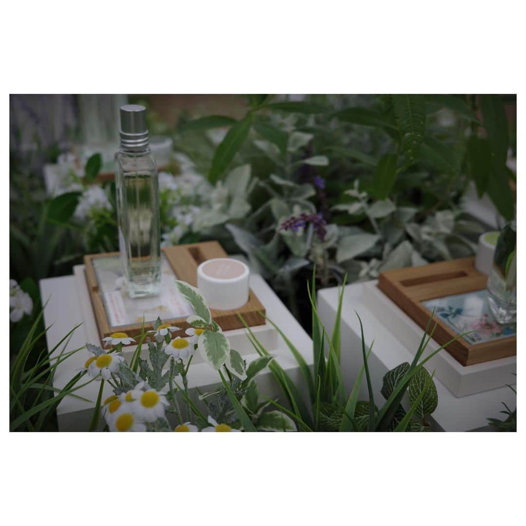 佐藤涼実さんのインスタグラム写真 - (佐藤涼実Instagram)「@loccitane_jp  7/21-7/23 @ SHIBUYA MIYASHITAPARK "REGENERATION"イベントにお邪魔しました  1976年 南仏プロヴァンスにてブランド創設以来  "植物の恵みを得ながら自然を守る" という使命のもと   45年以上ものづくりに取り組んでいるロクシタン  今回のイベントでは 製品が世に出るまでの製造工程や秘話を 最先端のAR技術を通して体験できました   期間限定のスペシャルな空間 是非足を運んでみてはいかがでしょうか 💜   #ロクシタン #loccitane #regeneration  #miyashitapark #loccitanepr」7月20日 23時36分 - suzumi_sato