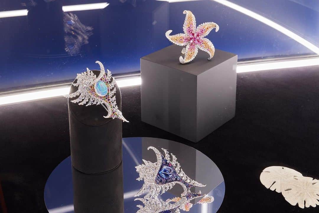 Mikimotoさんのインスタグラム写真 - (MikimotoInstagram)「“130th ANNIVERSARY IFC POP-UP STORE 2023” is now open at Hong Kong ifc mall. Adorned in the theme of the ocean and coexistence with nature, our latest high jewellery collection “Praise to the Sea” is showcased. Available until Tuesday, July 25th.  本日より7月25日(火)まで、香港ifc mallにて「130th ANNIVERSARY IFC POP-UP STORE 2023」開催中。海や自然との共生をテーマにした美しい空間が広がる会場には、最新のハイジュエリー「Praise to the Sea」を展示。  #MIKIMOTO #ミキモト #HongKongIFC」7月20日 23時45分 - official_mikimoto