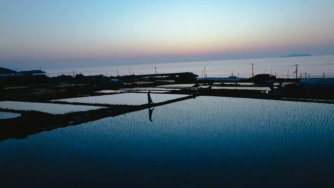 岩倉しおりさんのインスタグラム写真 - (岩倉しおりInstagram)「海がみえる水田。」7月20日 23時46分 - iwakurashiori
