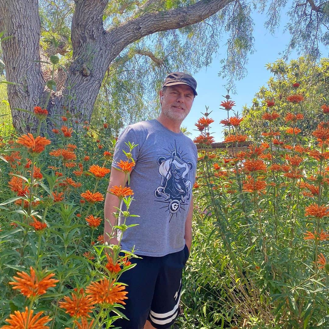 のインスタグラム：「My wife and I stopped to appreciate the flowers the other day. We never used to do that and I’m so grateful we now do! @holidayreinhorn」