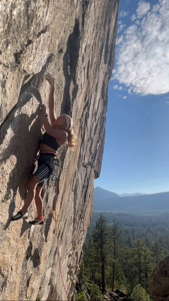 サッシャ・ディギーリアンのインスタグラム：「Exploring some local crags around Tahoe - good to be dabbling out of the brace on rock! Here’s some 📲 rock tripod action from a beautiful warm up I started out with while learning this crag may not be an afternoon summer destination but is 💯 % worth the sunshine.  #climbing #tahoe #womenwhoclimb」