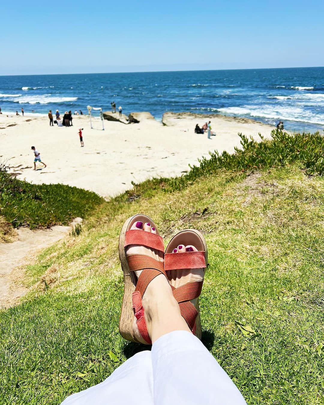 Ilana Wilesのインスタグラム：「Vacation with your husband without the guilt of leaving your kids at home just hits different. La Jolla, you are a lovely lovely place. Even if the sea lion scene was the saddest tragedy I’ve witnessed in years! Who saw it on my story? Those poor babies! I’m told that the moms leave their pups to forage at sea and then they come back. So it’s possible all those rejections were not from their actual mothers. 💔」