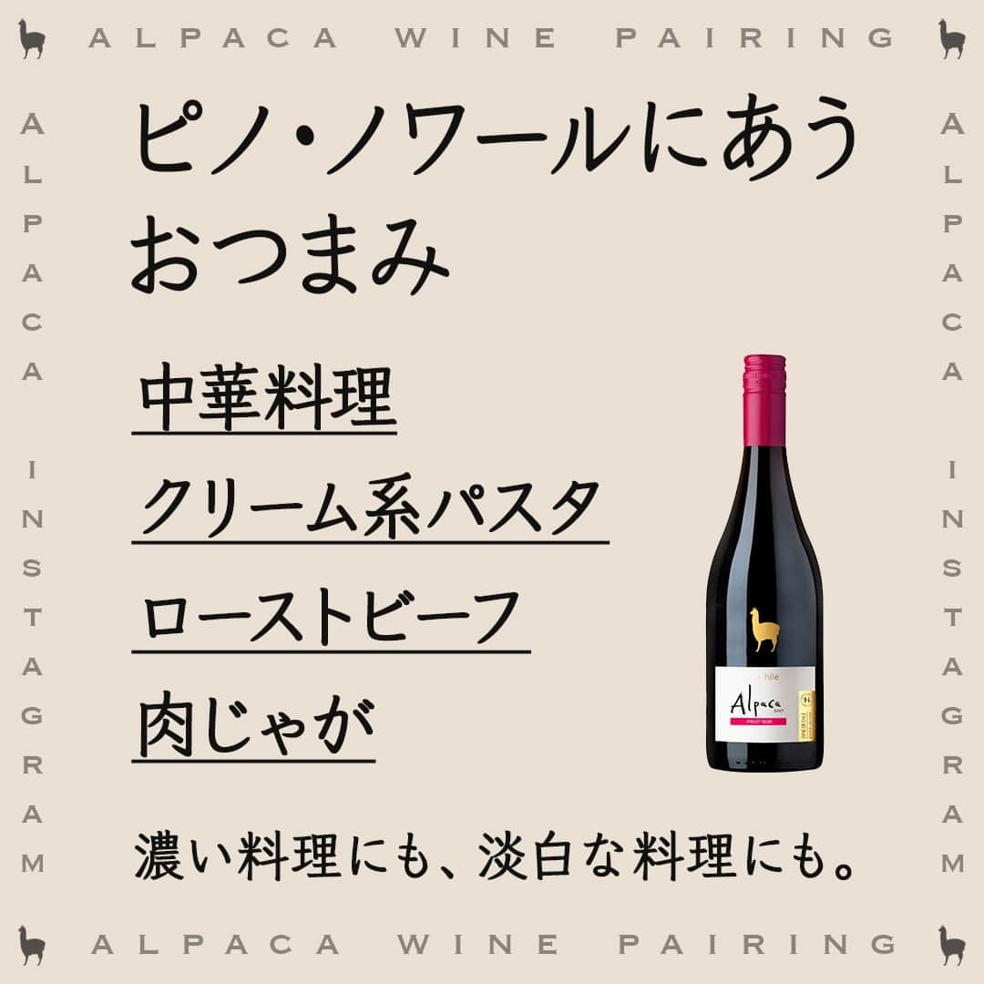 サンタ・ヘレナ『アルパカ』のインスタグラム：「おすすめのおつまみ、まとめました🍷⁠ ⁠ ピノ・ノワールは、チェリーやラズベリーのフレッシュな果実味と、なめらかな口当たりが特長。⁠ ⁠ 軽めでフルーティーな赤ワインです！⁠ 夏に冷やして飲んでみてください✨⁠ ⁠ 保存して参考にしてくださいね～👆⁠ ⁠ ┈┈┈┈┈┈┈┈┈┈┈┈┈┈┈┈⁠ ハッシュタグ、⁠ #今日のアルパカ #アルパカワイン⁠ で、みなさんからの投稿を募集中🍷⁠ 公式アカウントでご紹介させていただきます！⁠ おすすめのおつまみや、アルパカと一緒に食べたおうちごはんなど、投稿をお待ちしています！⁠ ┈┈┈┈┈┈┈┈┈┈┈┈┈┈┈┈⁠ ⁠ #alpaca#alpacawine#チリワイン#デイリーワイン#コスパワイン#リーズナブルワイン#ワイン好きな人と繋がりたい#ワイン好きと繋がりたい⁠#お酒好きな人と繋がりたい#ワイン好き#ワインのある食卓#ワインのある暮らし#おうちワイン#家飲みワイン#家飲み#宅飲み#晩酌#晩酌タイム#赤ワイン#赤ワインに合う#おつまみ#ワインのお供#ワインのつまみ#ワインに合うおつまみ#おうちで乾杯#winelovers#winetime」