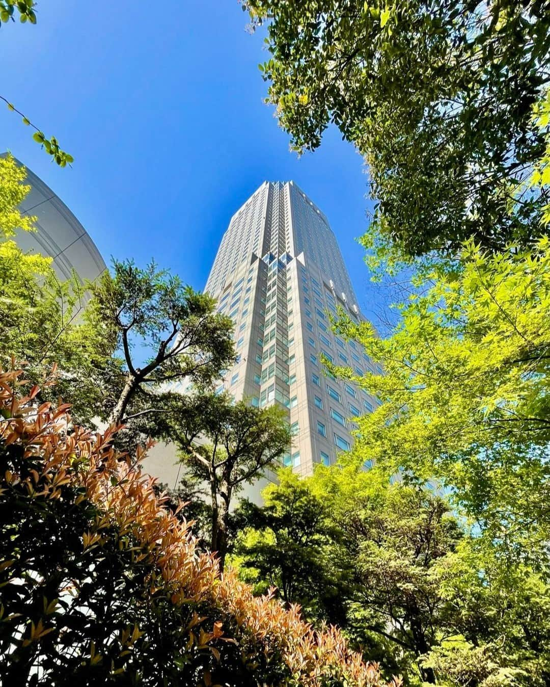 東急ホテルズのインスタグラム：「東京・渋谷の中心にありながらも自然を感じられる「セルリアンタワー東急ホテル」。  客室は19階～37階の高層階に位置し、目下には東京を一望できる素晴らしい景色が広がります✨  静寂と優雅さに包まれた上質な空間で、心身ともにリフレッシュする至福のひとときをお過ごしください🍃  ‐‐‐‐‐‐‐‐‐‐‐‐‐‐ セルリアンタワー東急ホテル 📍東京都/渋谷  最新情報や宿泊予約はホテル公式アカウントをご覧ください。 @ceruleantower_tokyu_hotel ‐‐‐‐‐‐‐‐‐‐‐‐‐‐‐  Experience nature in the heart of Tokyo's Shibuya district at the serene and elegant hospitality of Cerulean Tower Tokyu Hotel.  Located exclusively on floors 19 to 37, the guest rooms offer breathtaking views of Tokyo below.   Immerse yourself in tranquility and sophistication, indulging in blissful moments of refreshment for both mind and body.  ‐‐‐‐‐‐‐‐‐‐‐‐‐‐ Cerulean Tower Tokyu Hotel 📍Shibuya, Tokyo, Japan  Please refer to the official hotel account for the latest news, events, and reservation information. @ceruleantower_tokyu_hotel ‐‐‐‐‐‐‐‐‐‐‐‐‐‐‐」