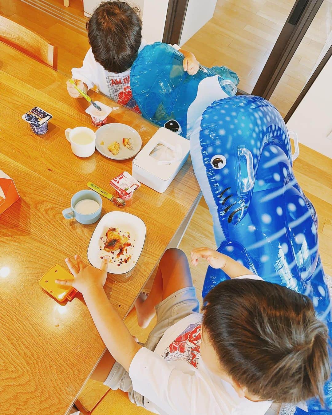 林藍菜さんのインスタグラム写真 - (林藍菜Instagram)「富山も梅雨明けです☀️ 我が家にペットがきました🦈🐬 ベェちゃんとパンちゃんです。  #夏 #我が家のペット #いつも一緒 #早くプールに行きたい」7月21日 8時33分 - hayashi_aina