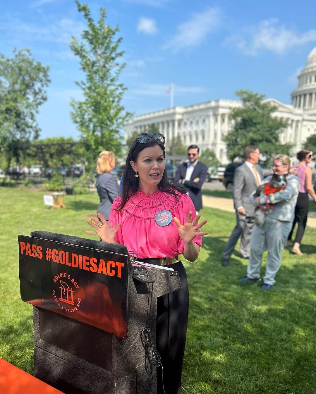 ベラミー・ヤングさんのインスタグラム写真 - (ベラミー・ヤングInstagram)「What an honor to get to be in #DC today with the @aspca supporting the passage of #GoldiesAct 🥰 Goldie wasn't a pet- she lived & died in filth in a #PuppyMill in Iowa. She didn't even get a name: she was Golden Retriever #142. But we remember her as Goldie.  The #USDA knew about her suffering- even documented it- but did nothing to save her.  We are hoping to amend 1966's #AnimalWelfareAct to make sure that the USDA has to do their job of reporting all cruelty cases so that no other animals have to die like Goldie did.  You can learn more at aspca.org 💗 If this issue touches you heart, please call your representatives & tell them to support #GoldiesAct in the upcoming #FarmBill.  But most importantly: call your reps. About whatever you care about. They are in DC to amplify your voice- but first they have to know what you have to say. You can google your reps & their info by your zip code, & someone is always at the office to take note of what constituents care about.  Your voice matters. 🥰 I'm sending everyone so much love. Hope today is being gentle on you. #ASPCA #GoldiesAct ❤️💗❤️💗❤️💗❤️」7月21日 8時49分 - bellamyyoung