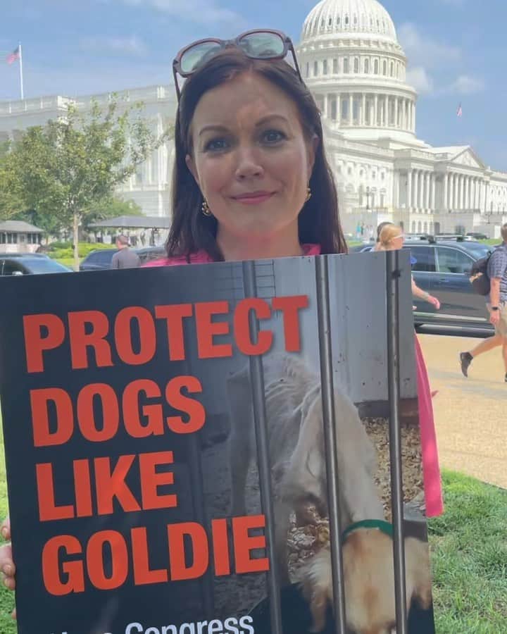 ベラミー・ヤングのインスタグラム：「What an honor to get to be in #DC today with the @aspca supporting the passage of #GoldiesAct 🥰 Goldie wasn't a pet- she lived & died in filth in a #PuppyMill in Iowa. She didn't even get a name: she was Golden Retriever #142. But we remember her as Goldie.  The #USDA knew about her suffering- even documented it- but did nothing to save her.  We are hoping to amend 1966's #AnimalWelfareAct to make sure that the USDA has to do their job of reporting all cruelty cases so that no other animals have to die like Goldie did.  You can learn more at aspca.org 💗 If this issue touches you heart, please call your representatives & tell them to support #GoldiesAct in the upcoming #FarmBill.  But most importantly: call your reps. About whatever you care about. They are in DC to amplify your voice- but first they have to know what you have to say. You can google your reps & their info by your zip code, & someone is always at the office to take note of what constituents care about.  Your voice matters. 🥰 I'm sending everyone so much love. Hope today is being gentle on you. #ASPCA #GoldiesAct ❤️💗❤️💗❤️💗❤️」