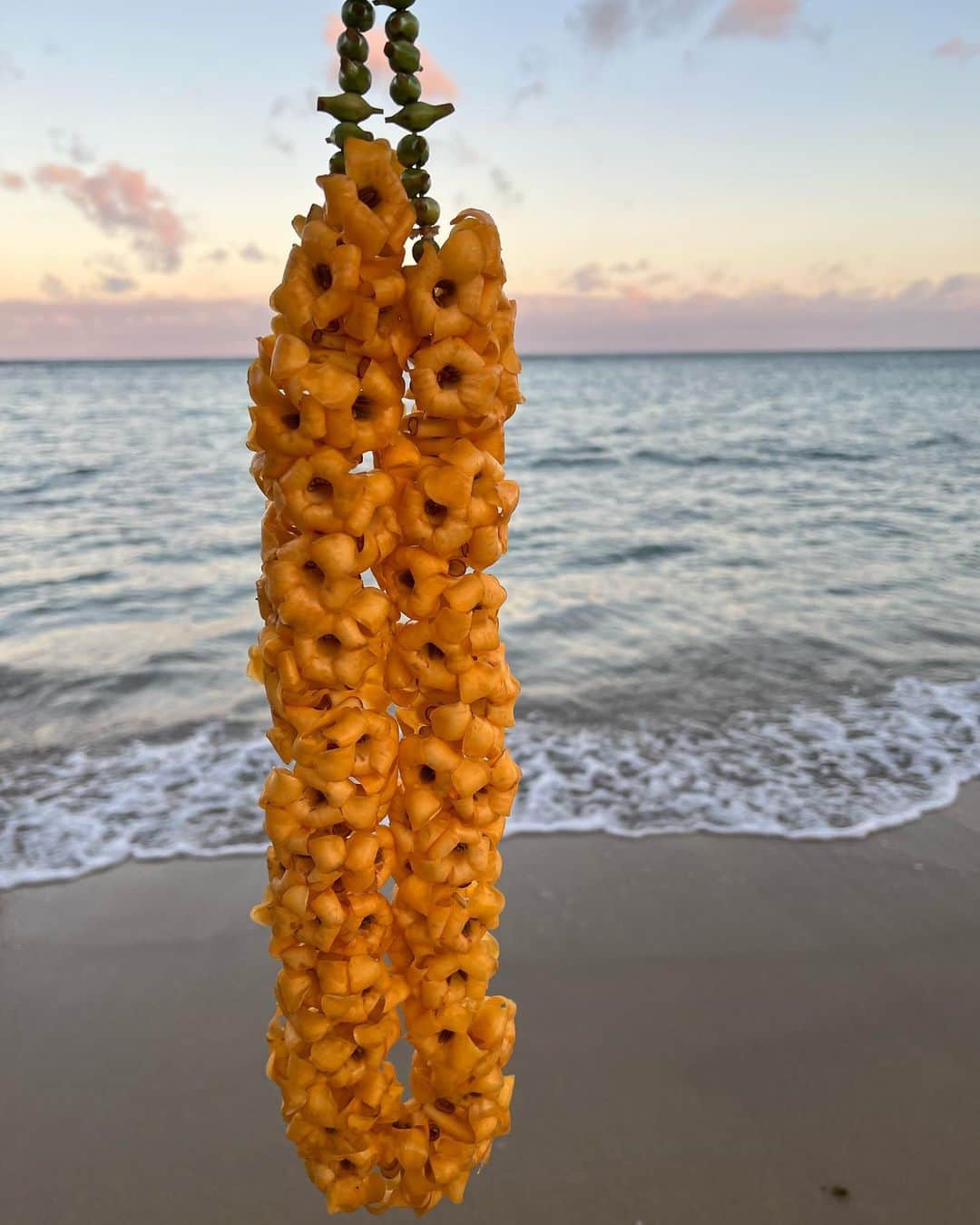 Livさんのインスタグラム写真 - (LivInstagram)「Some iPhone pics from my #solobabymoon in Hawaii. My girlfriends lei’d me and it was magical. Getting really ready to have this baby! #34weekspregnant #lei #hawaii #mailelei #puakenikeni」7月21日 9時26分 - livlogolding