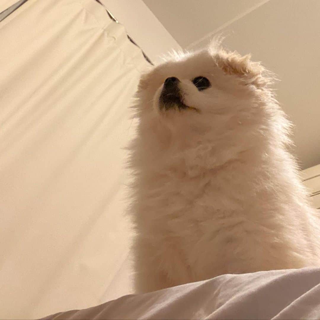 つるのインスタグラム