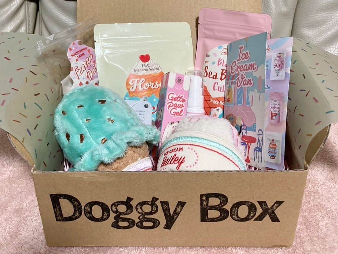 藤江れいなさんのインスタグラム写真 - (藤江れいなInstagram)「♡ 今月のDoggy Box🐶 今の季節にぴったりにアイス🍨  アネラさんはフリーズドライの りんごがお好みの様でした🍎 今回も嬉しいね、あねさん！  🎁▶︎ @doggybox_jp  🐶▶︎ @ane.love0328   #doggybox #ドギボ #pr #犬のいる暮らし  #チワックス #シルバーダップル」7月21日 13時26分 - 01nyan0201